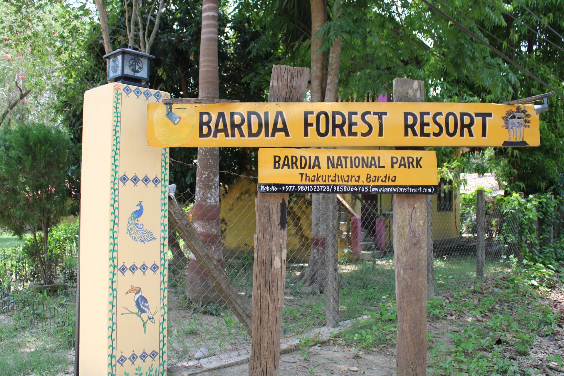 black blue and yellow textile