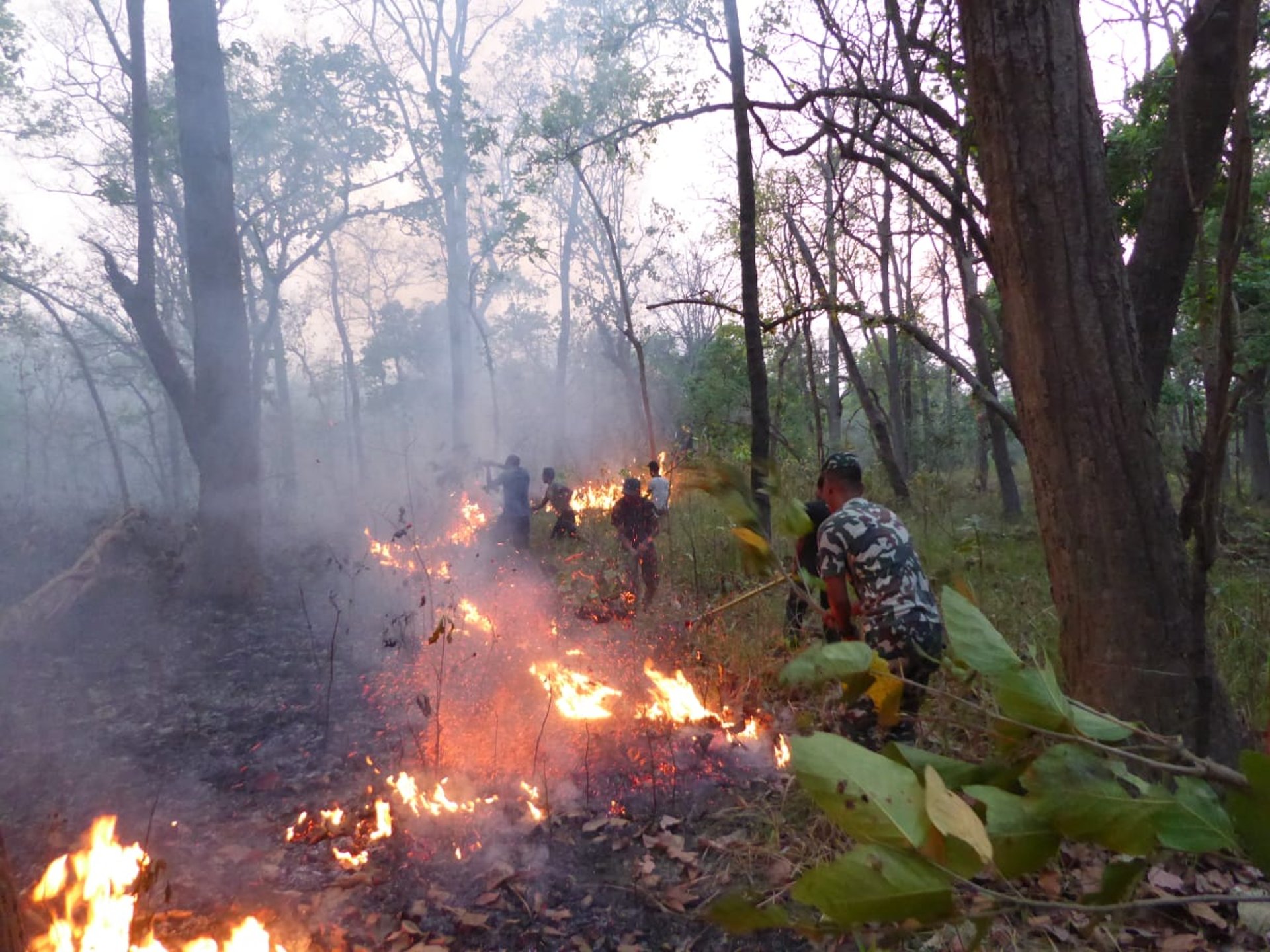 black blue and yellow textile