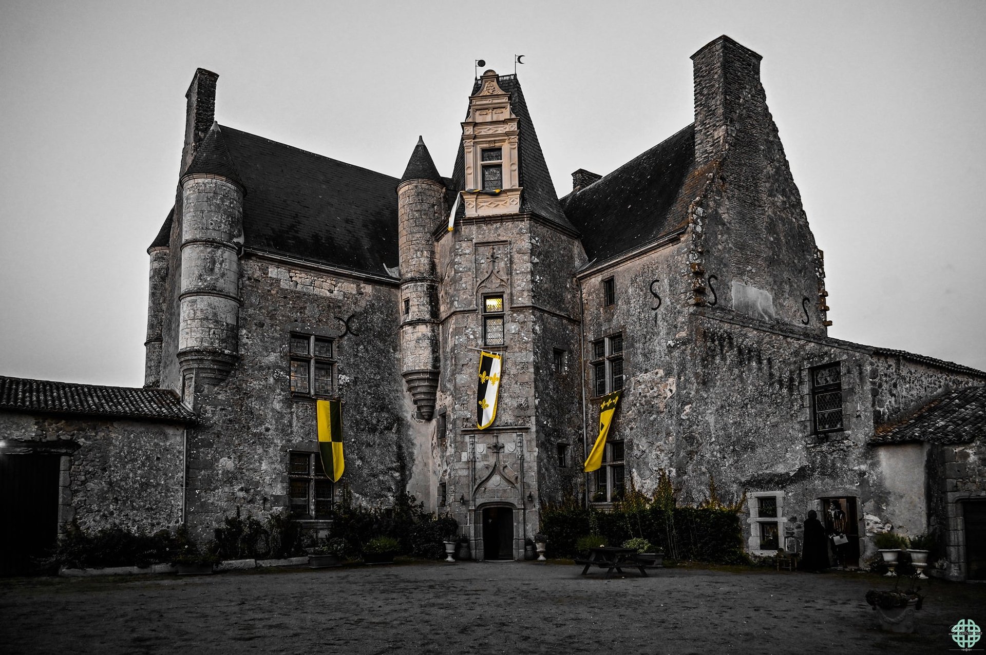 photo of library shelves