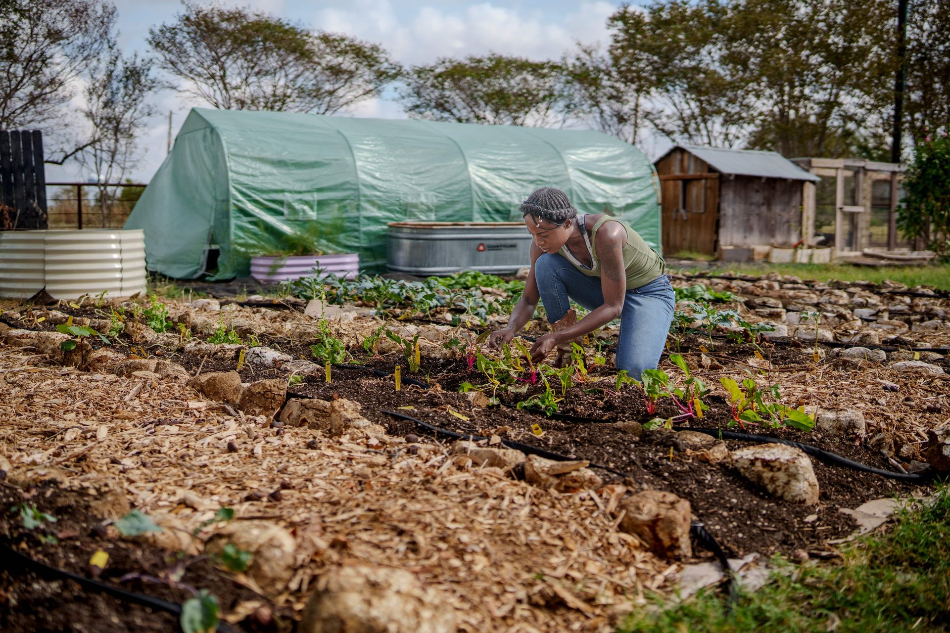 silhouette of airplane flying over the people during sunset