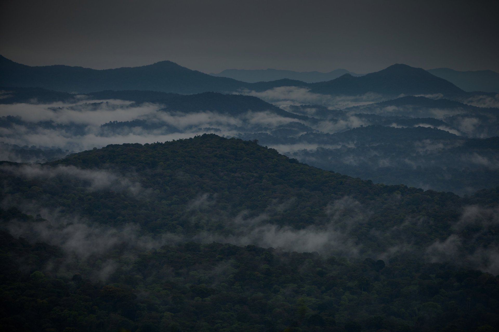 black blue and yellow textile