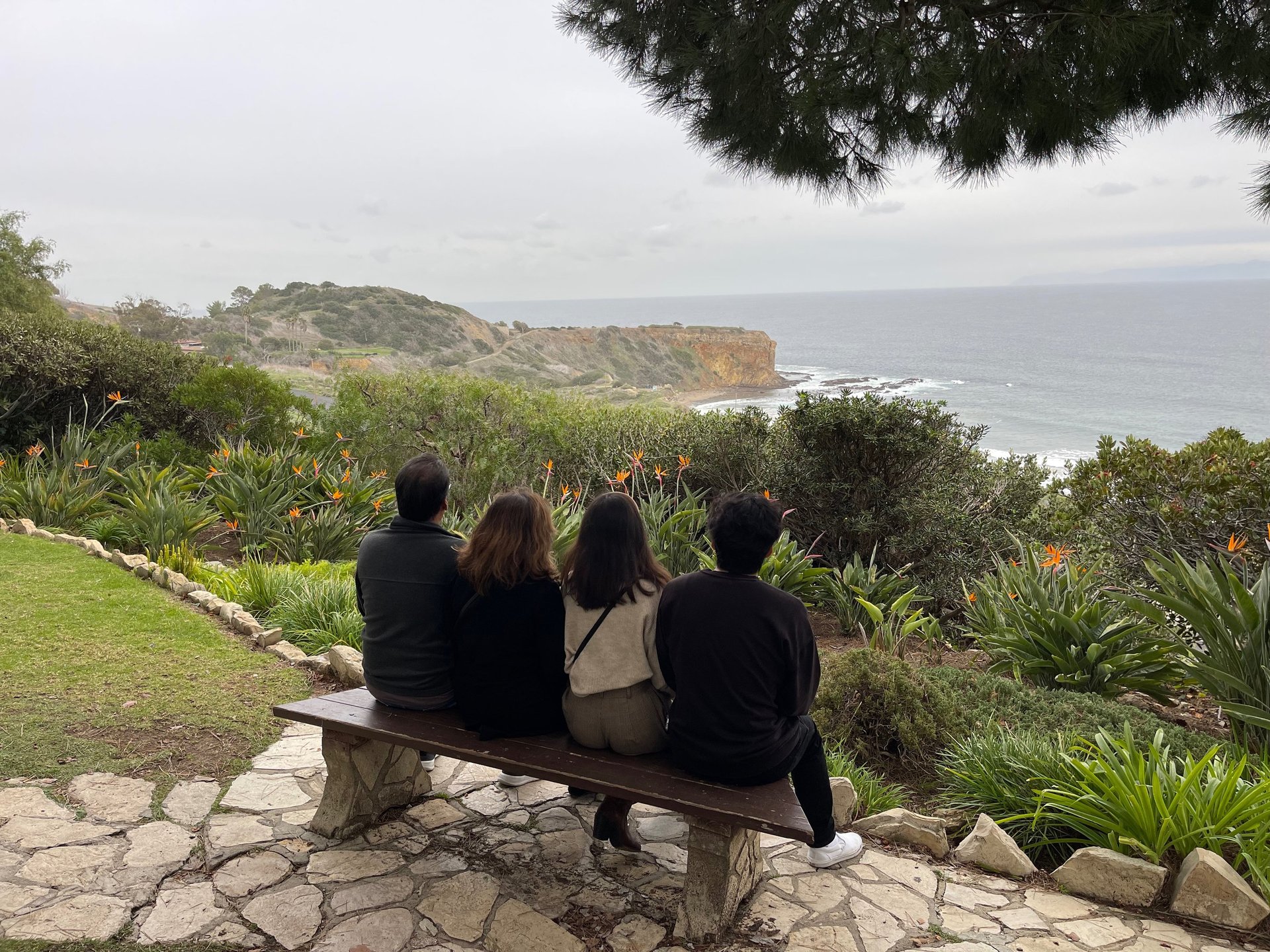 brown wooden house on lake