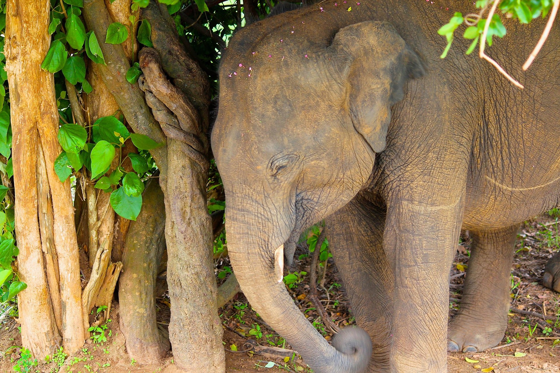 an abstract photo of a curved building with a blue sky in the background