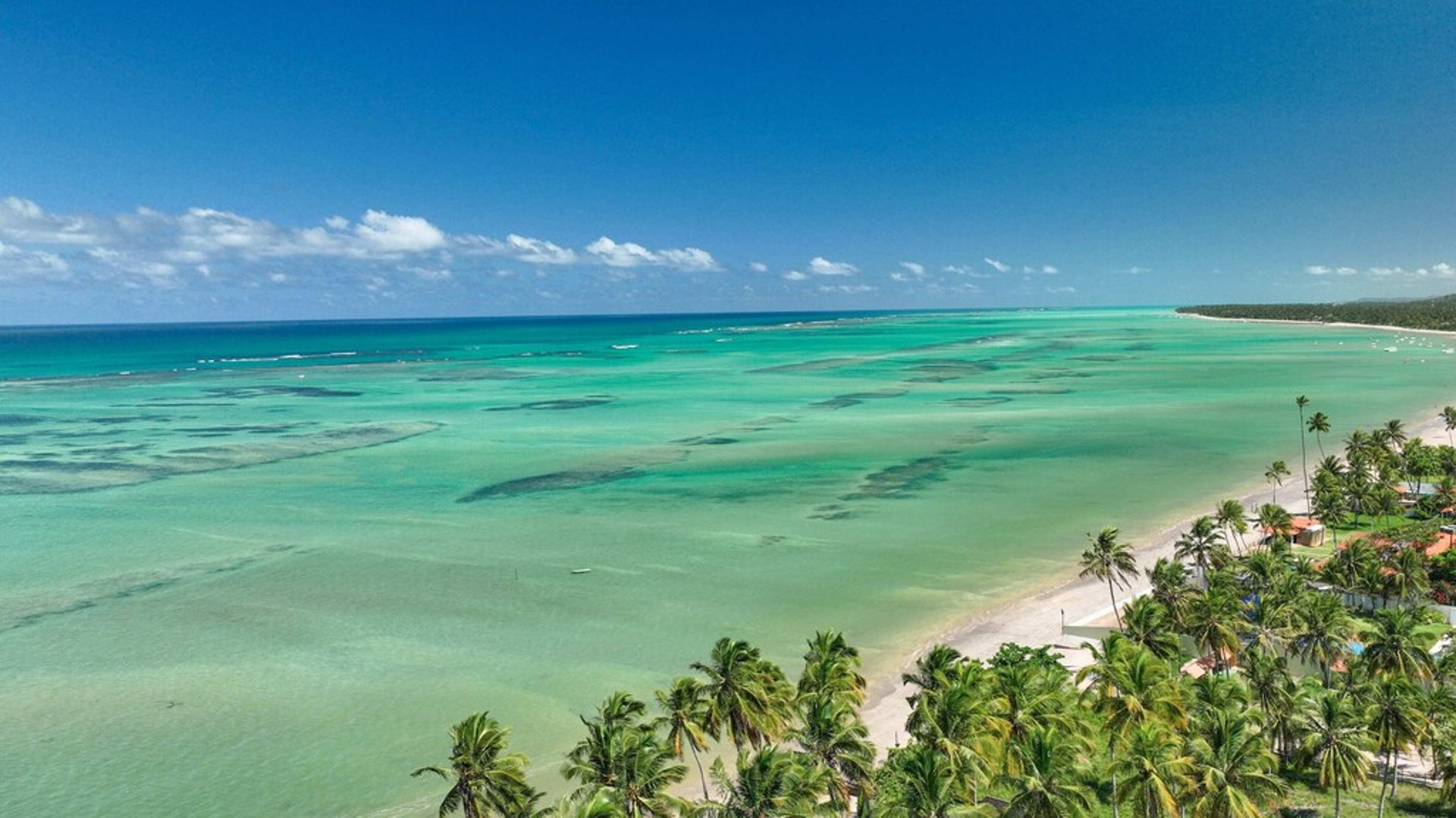 a large jetliner flying through a blue sky