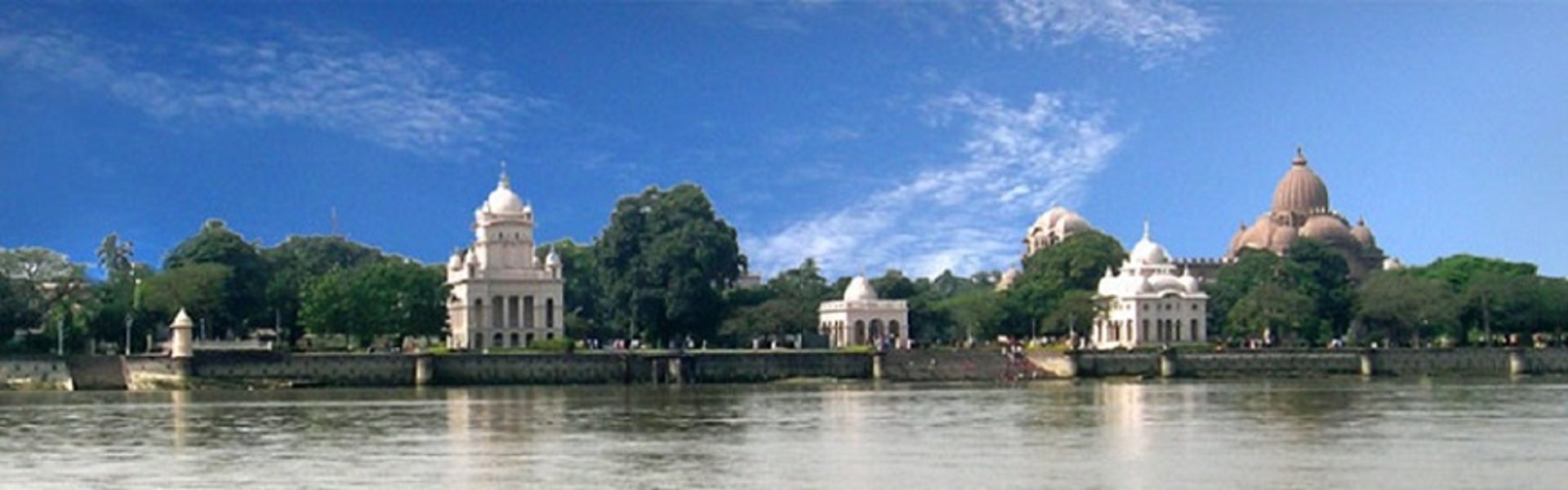 woman holding dried flower