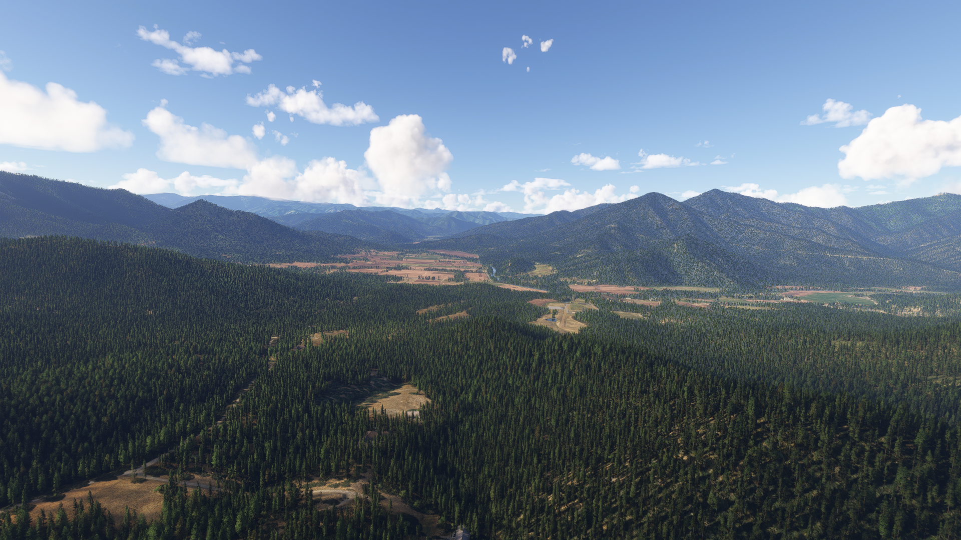 woman wearing yellow long-sleeved dress under white clouds and blue sky during daytime