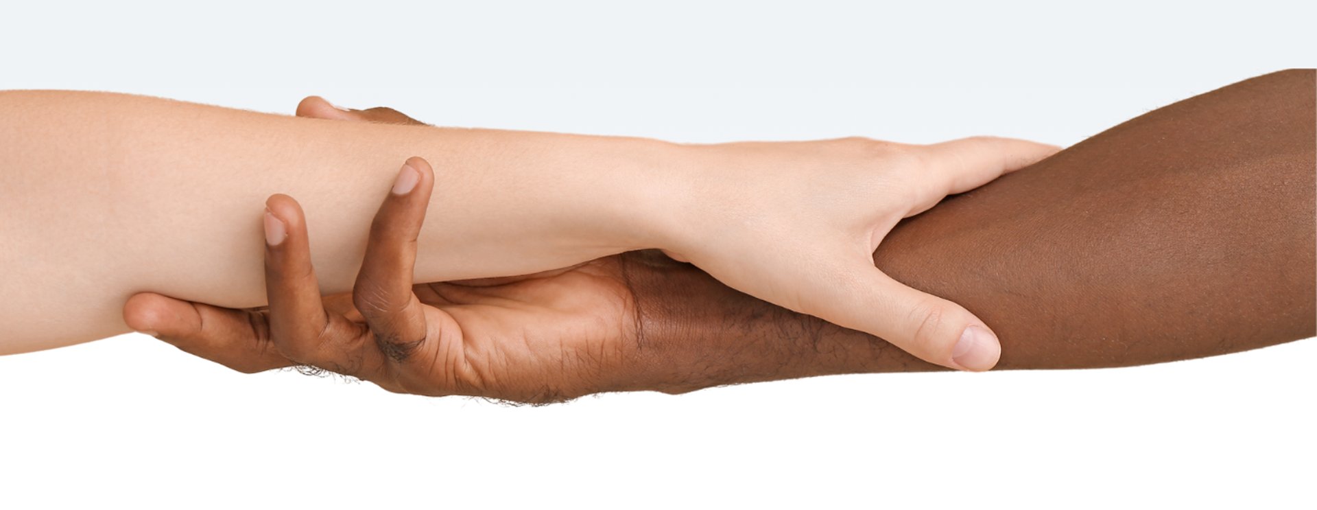 diversity partner with vision advocate