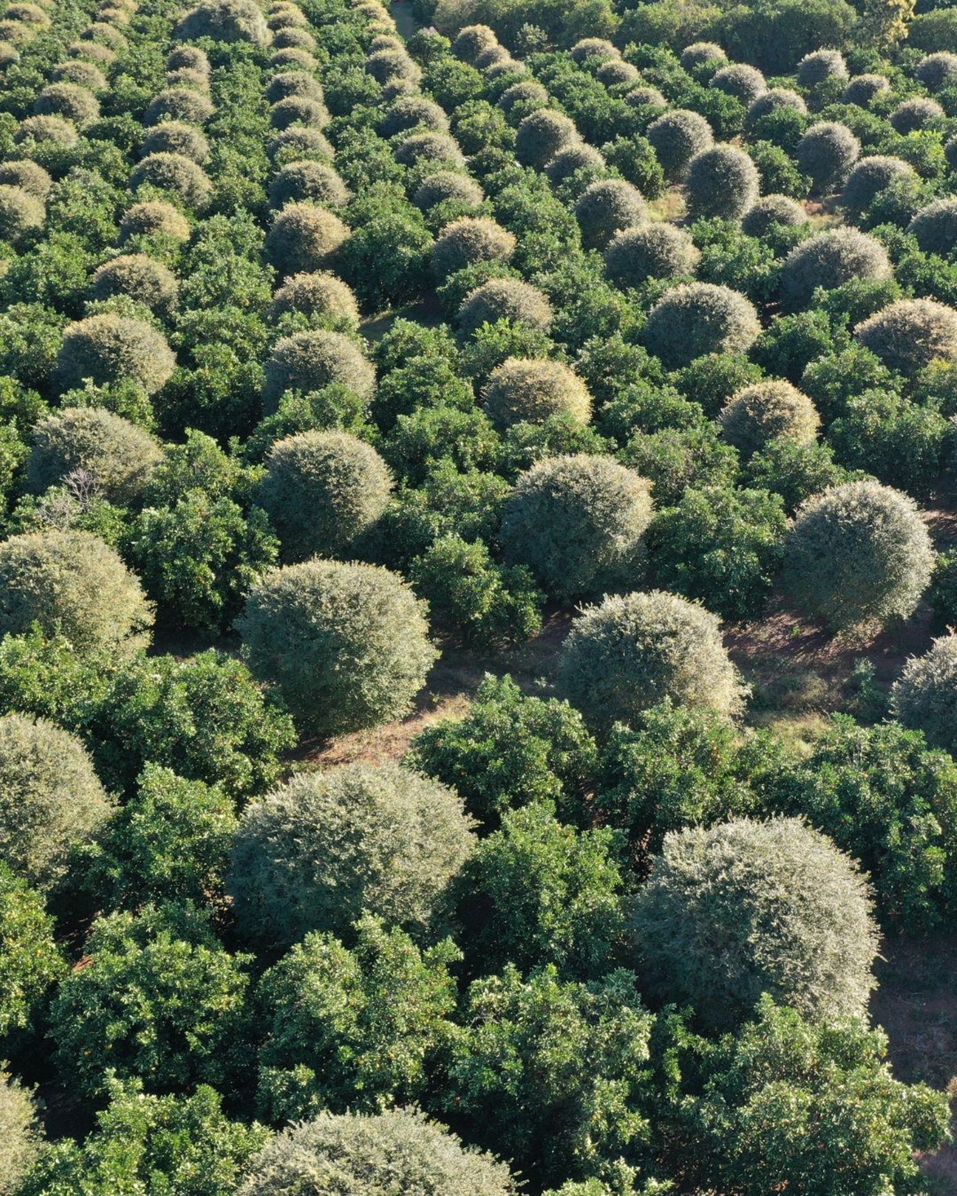 gray satellite disc on field