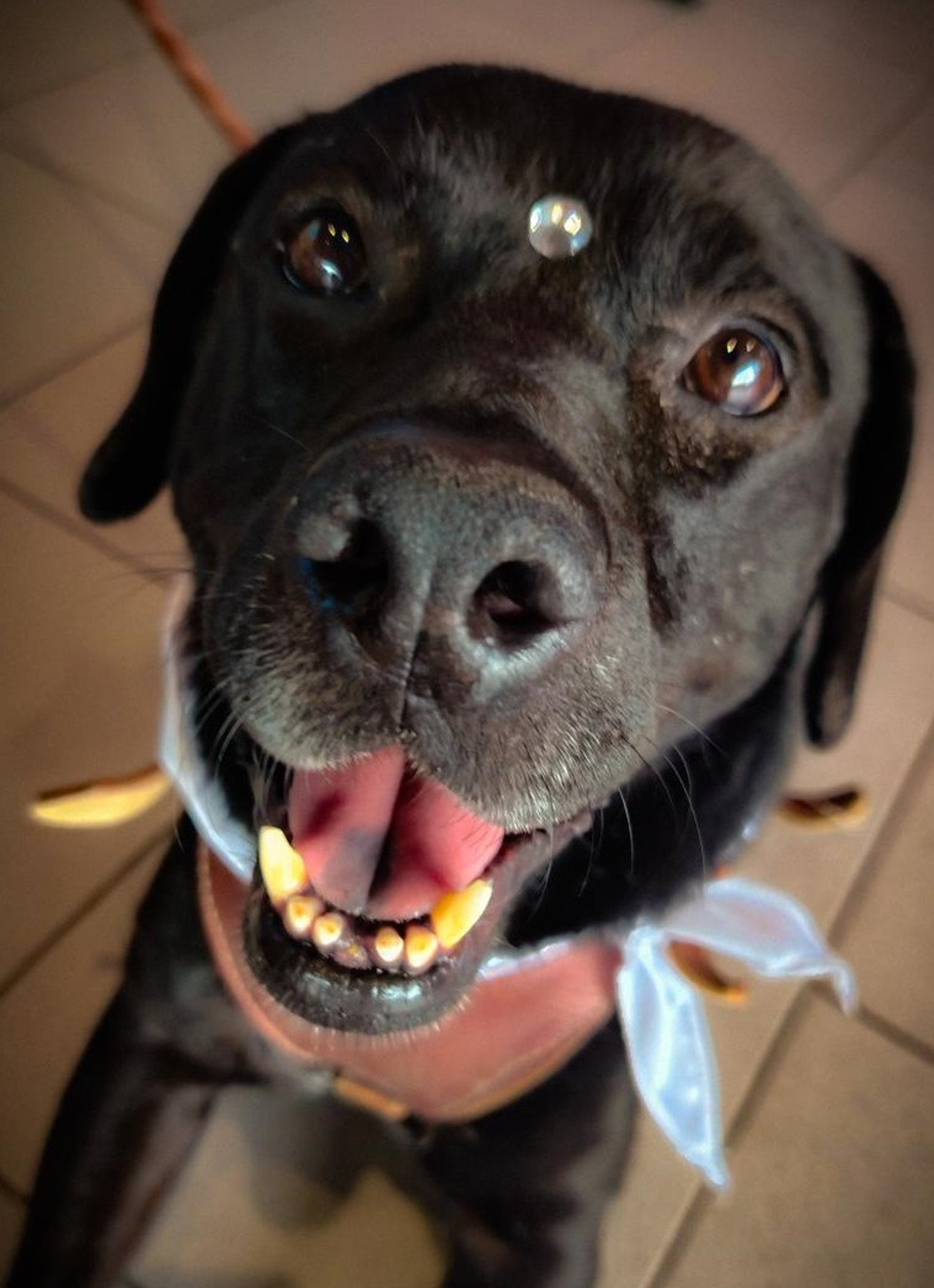 gray computer monitor