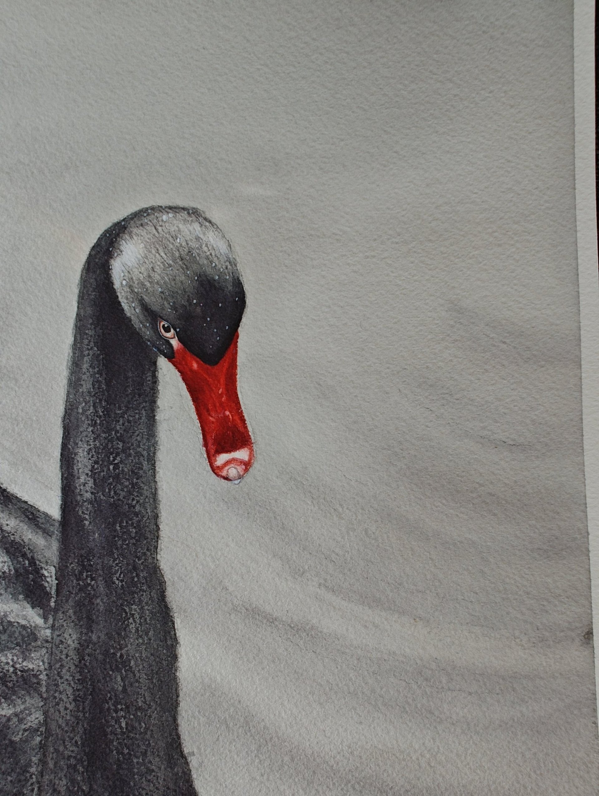 black and white bed linen