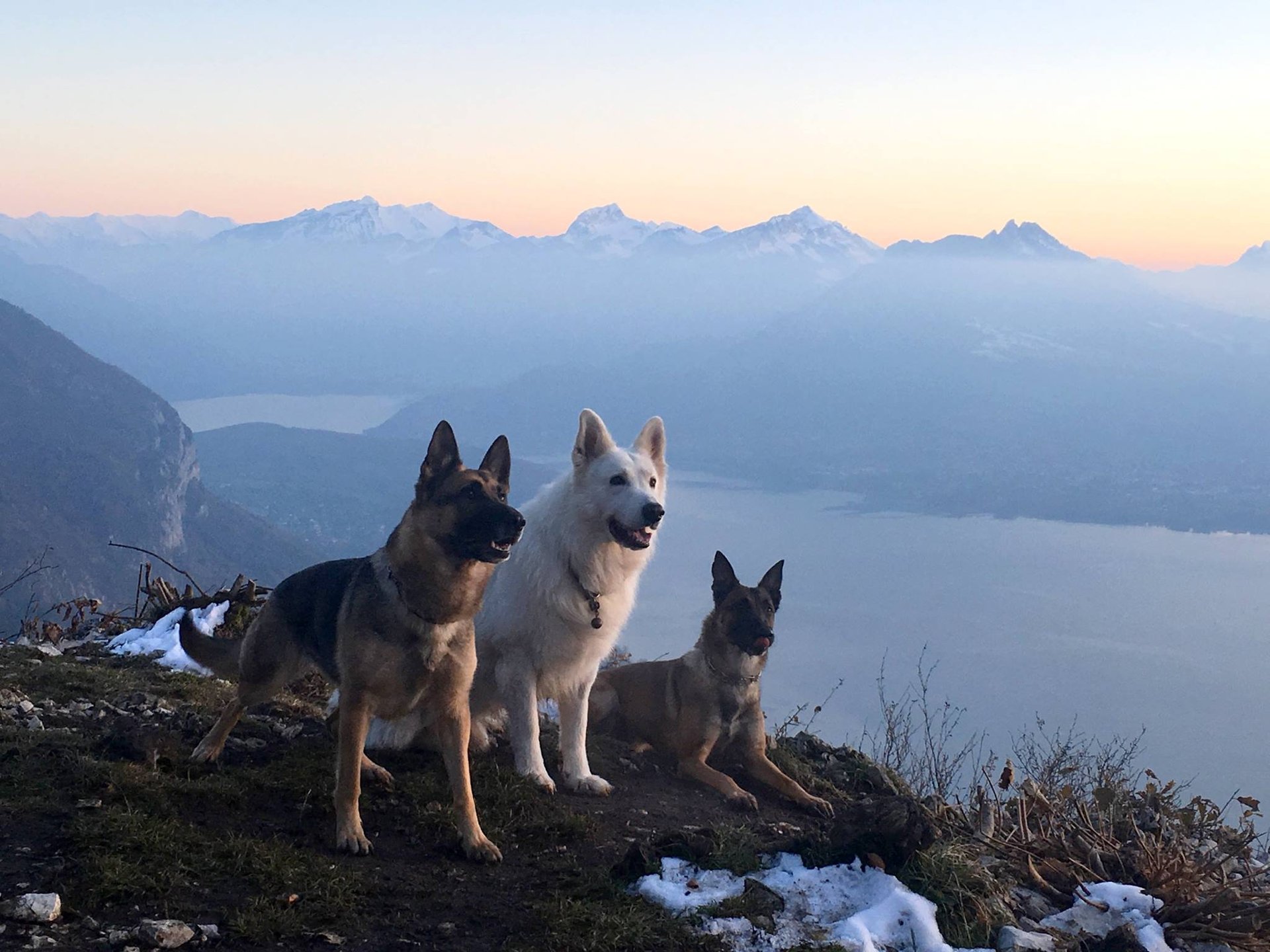 black blue and yellow textile