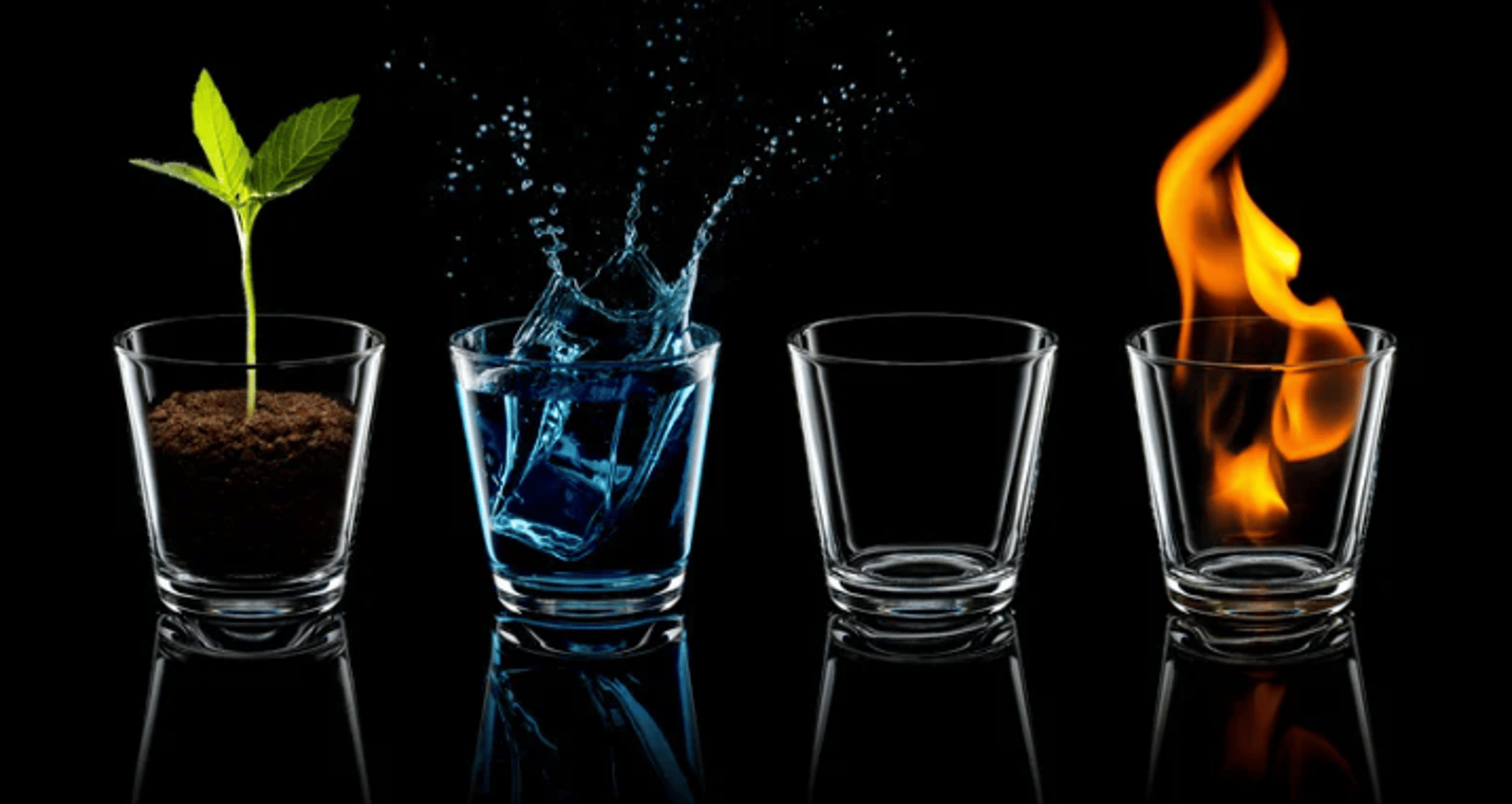 a couple of bottles of lotion sitting next to a plant