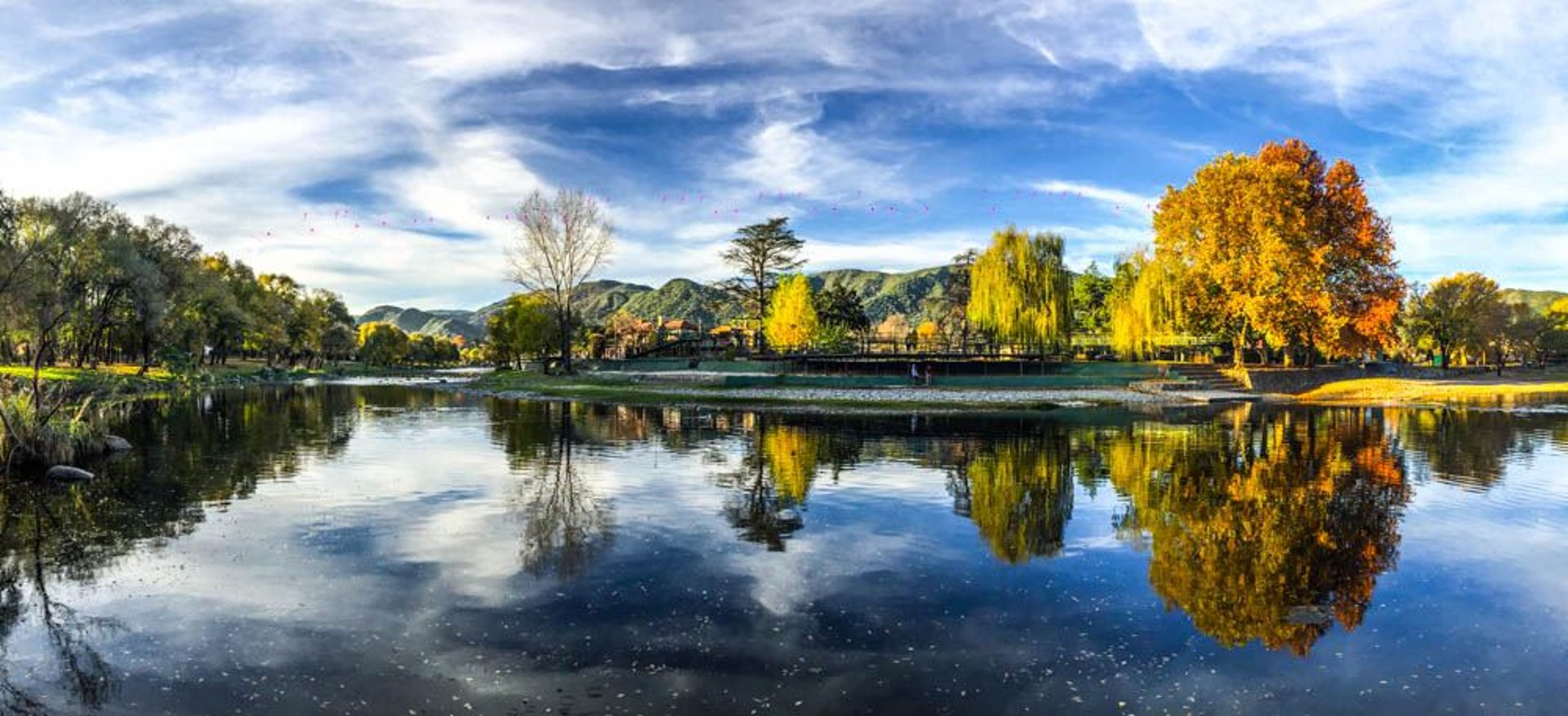 an abstract photo of a curved building with a blue sky in the background