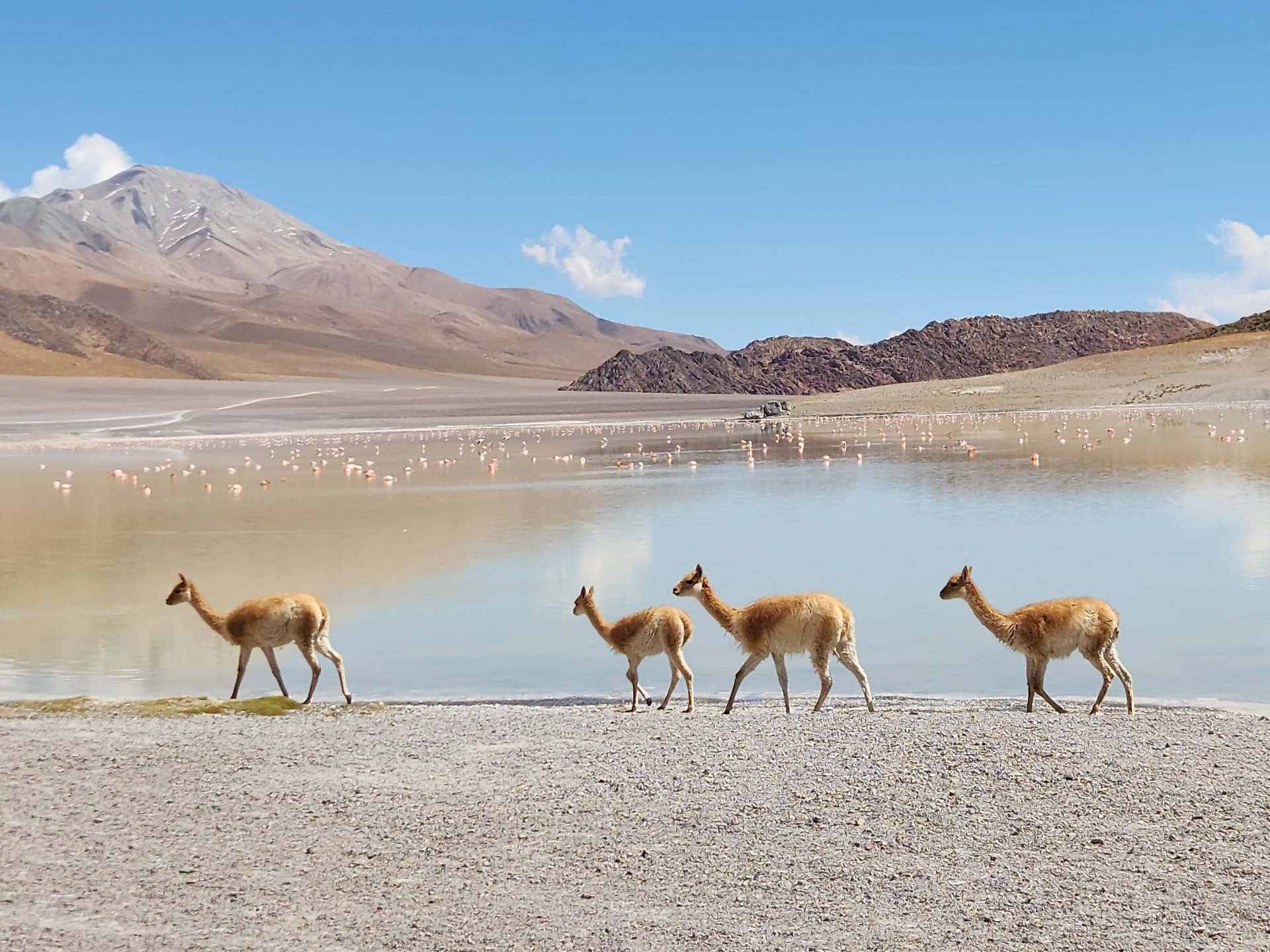 an abstract photo of a curved building with a blue sky in the background