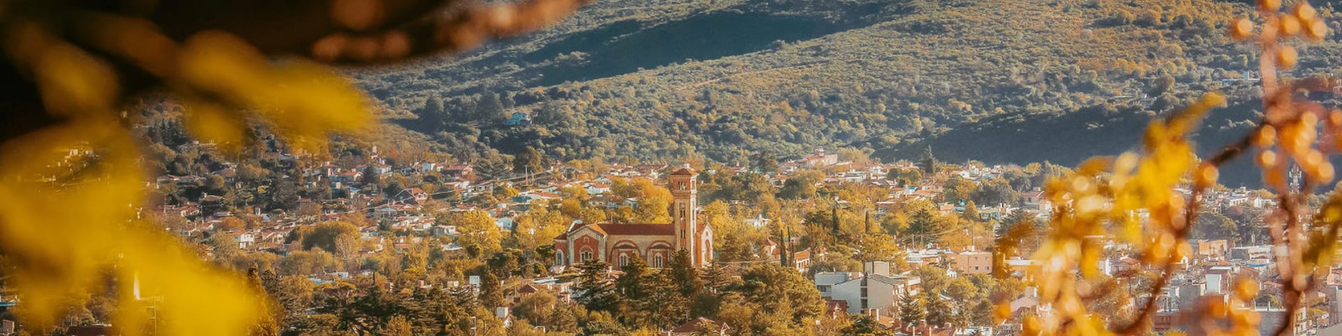 an abstract photo of a curved building with a blue sky in the background