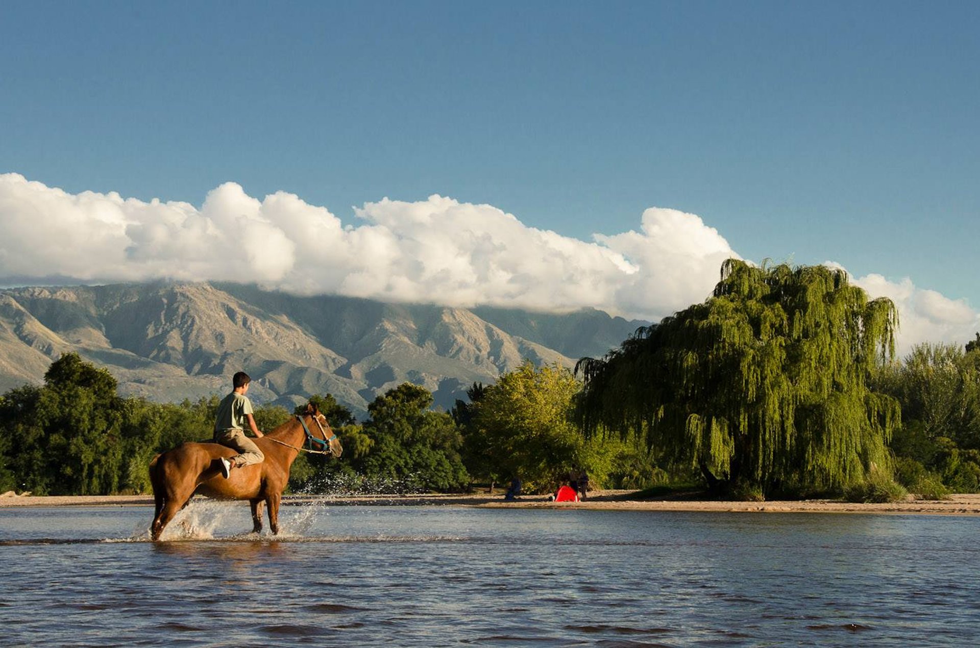 an abstract photo of a curved building with a blue sky in the background