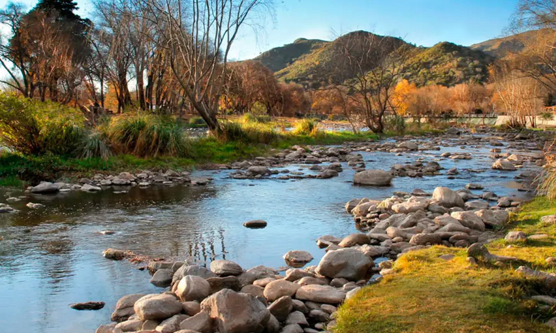 an abstract photo of a curved building with a blue sky in the background
