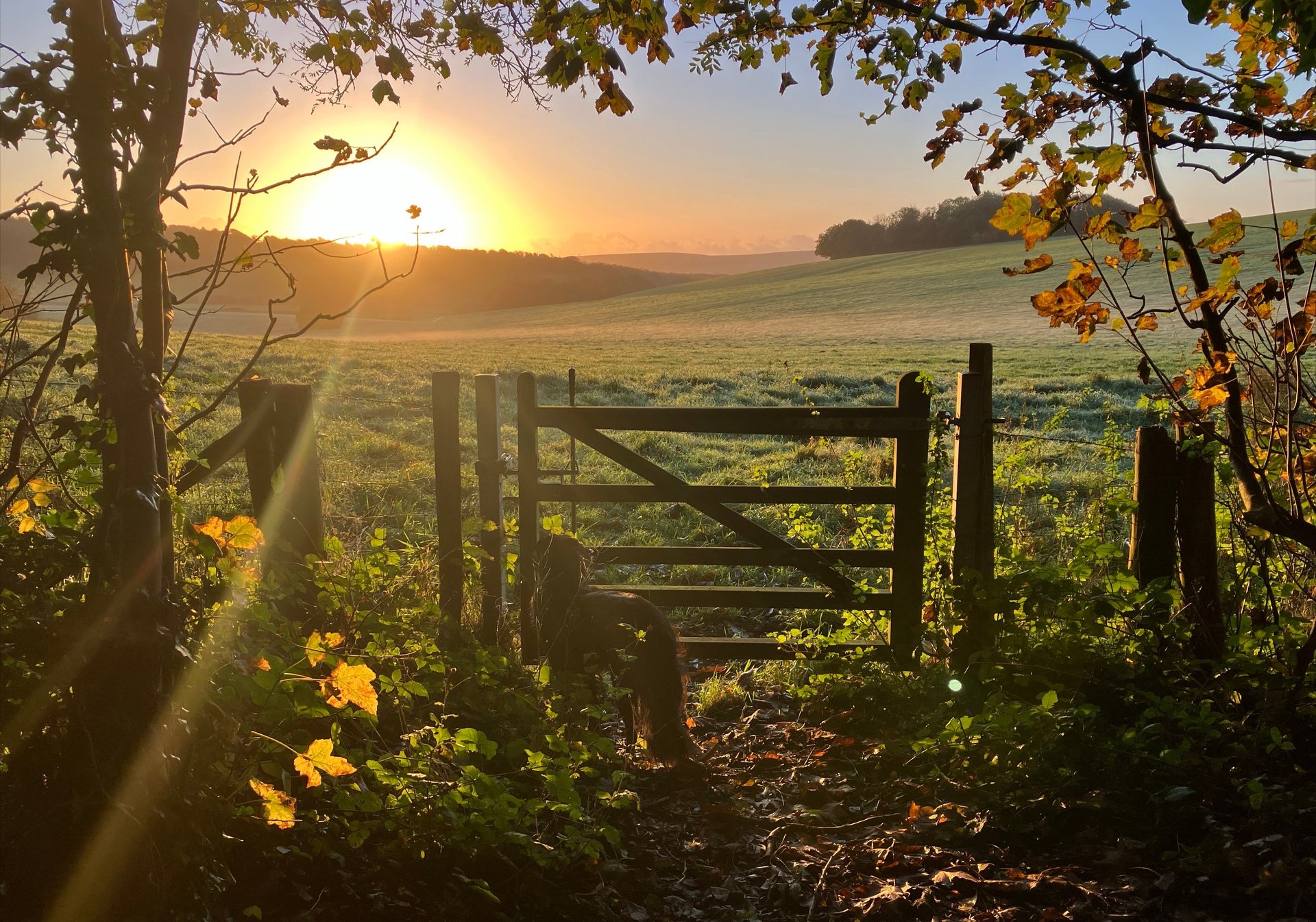 black and brown leather padded tub sofa