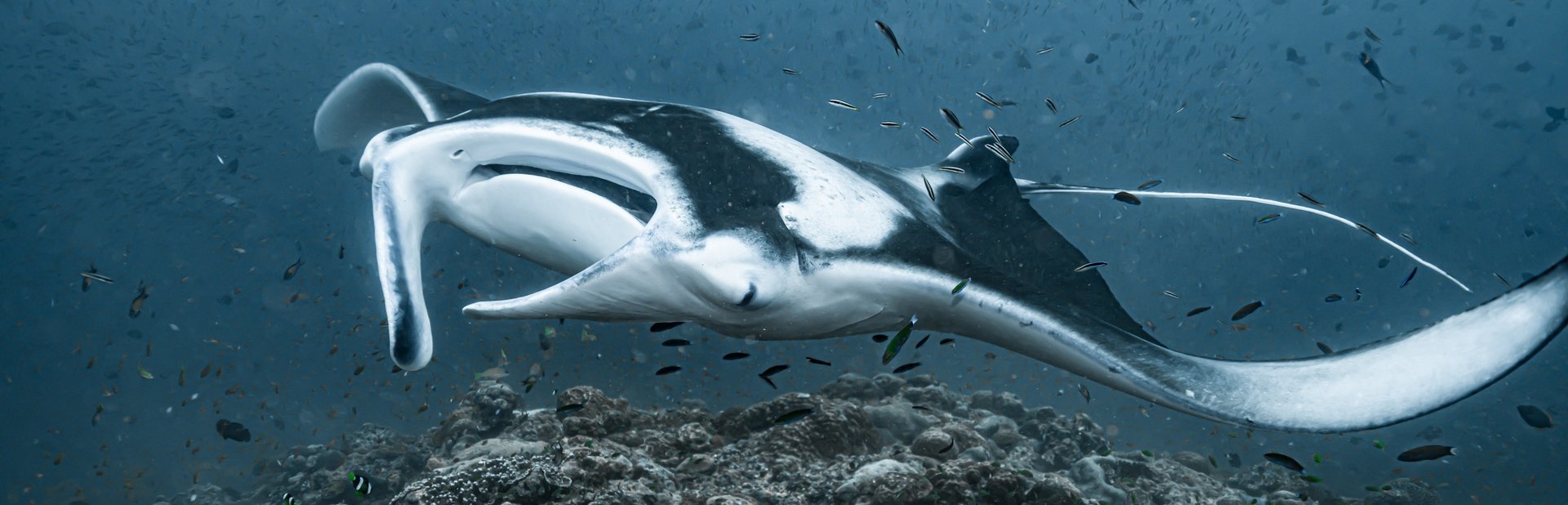 black blue and yellow textile