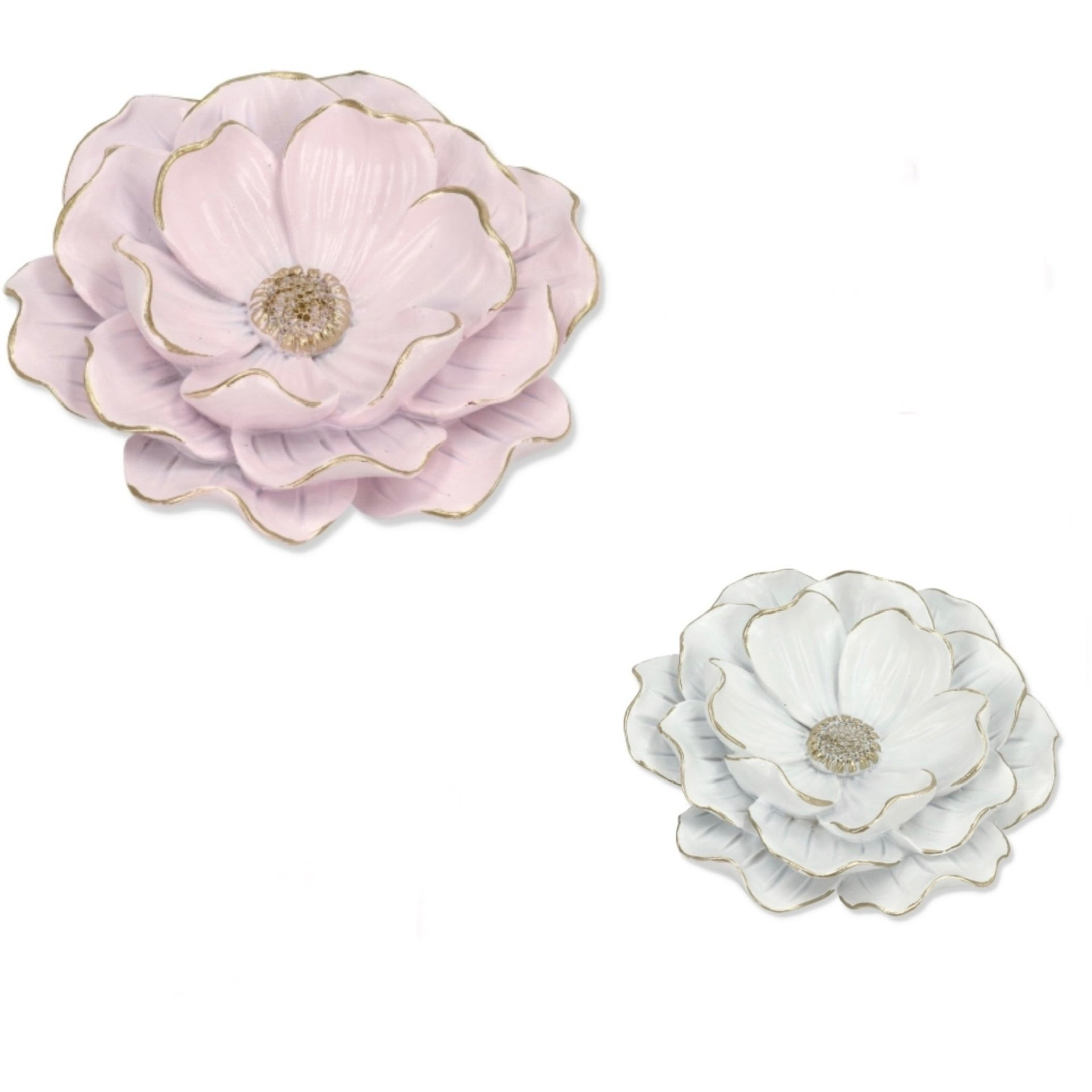 white and green flower with white background