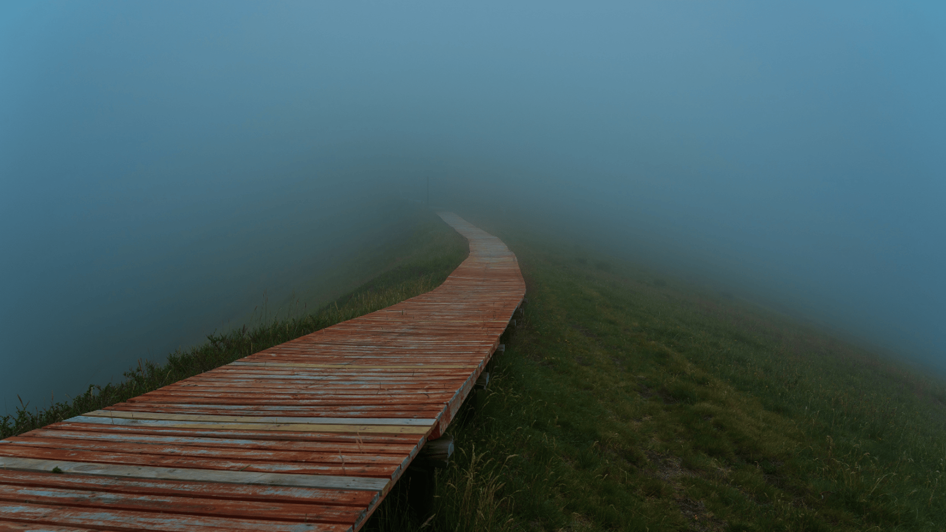pathway between trees
