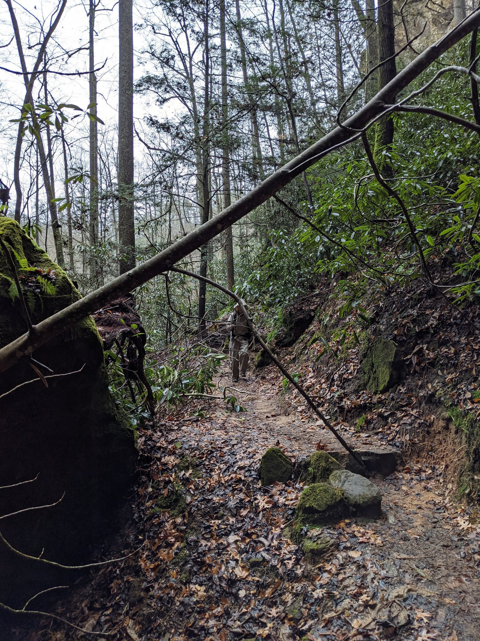 woman wearing yellow long-sleeved dress under white clouds and blue sky during daytime