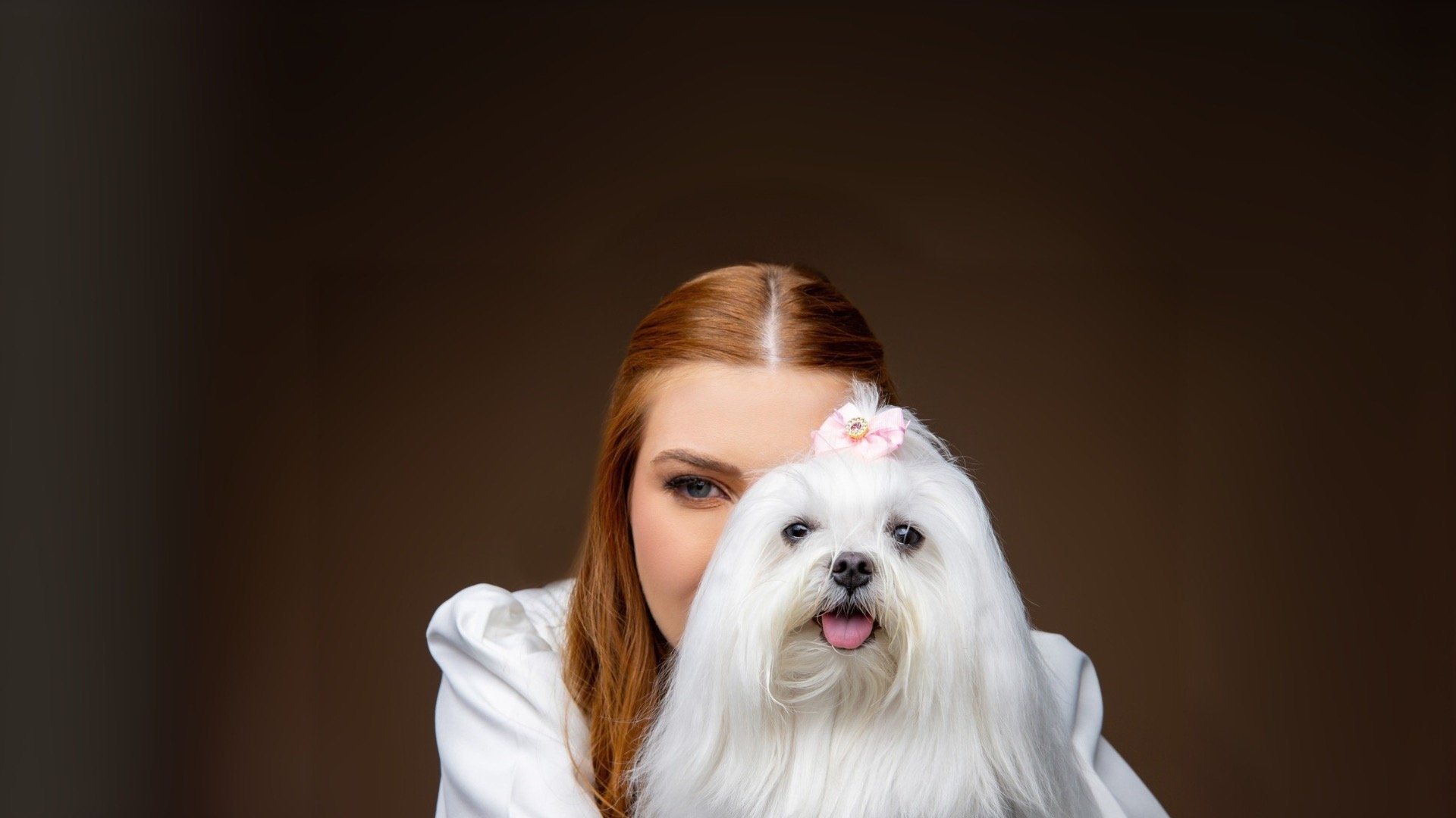 two brown and white dogs running dirt road during daytime