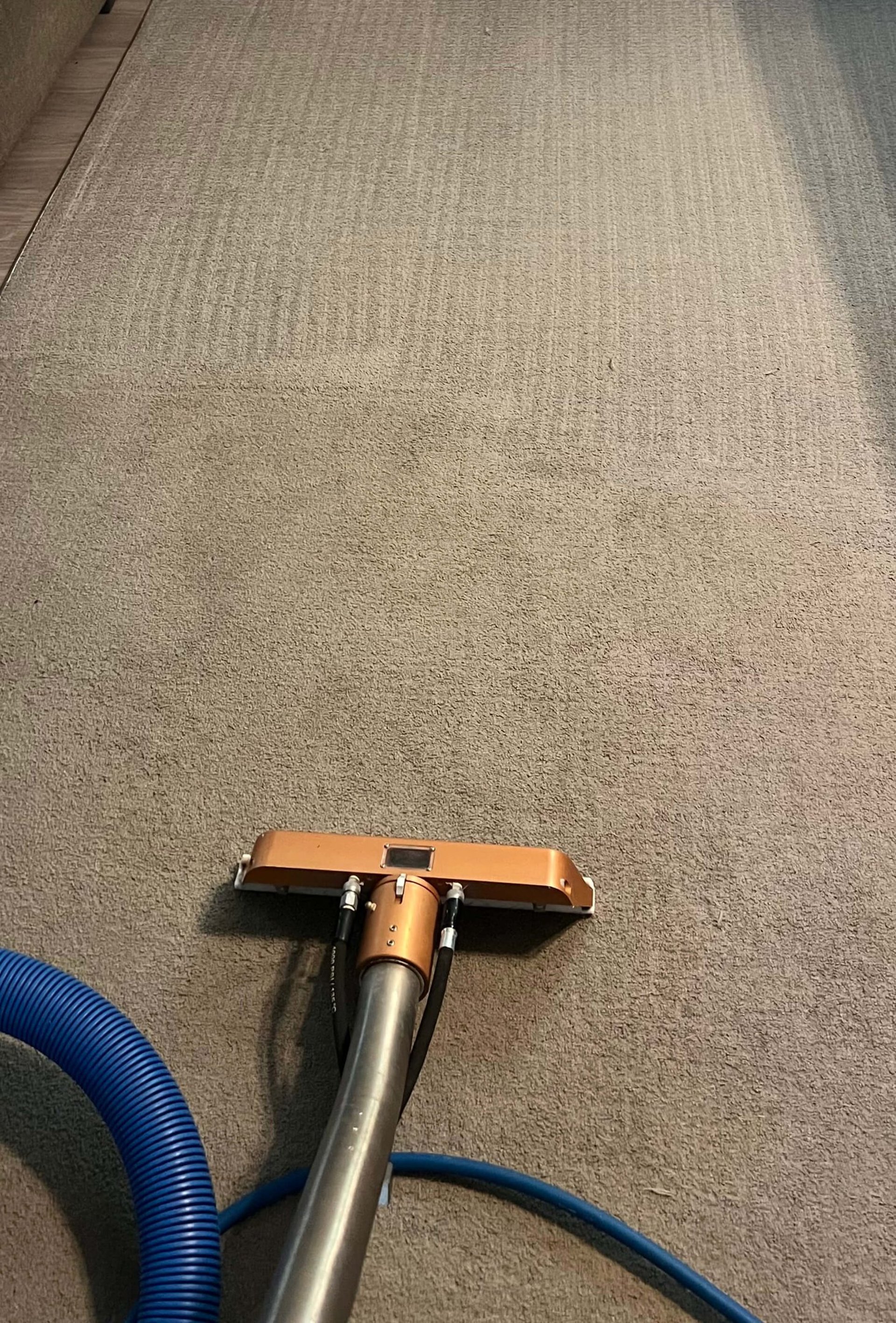 Professional carpet cleaning service in Denver CO