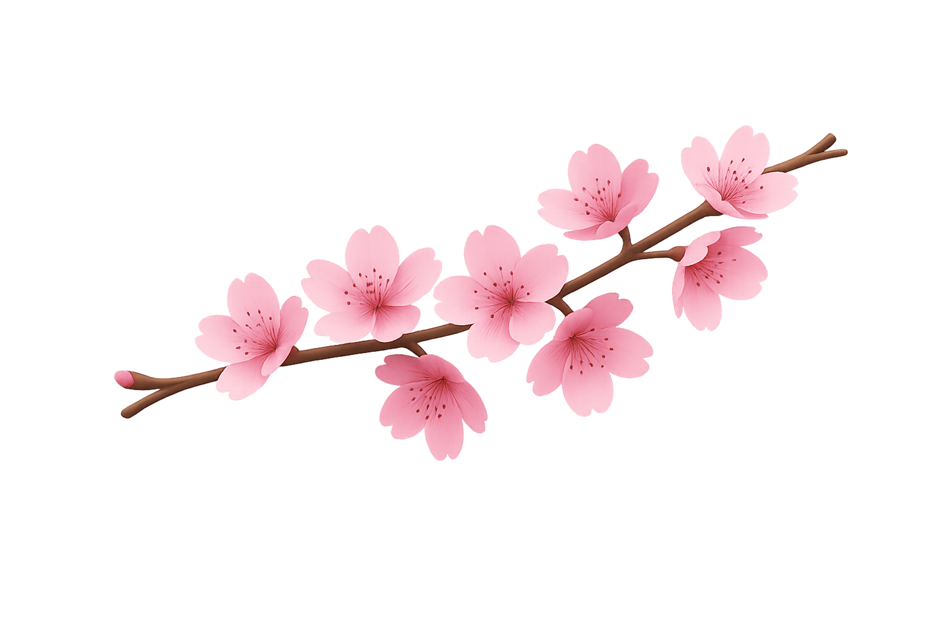 white and pink floral card