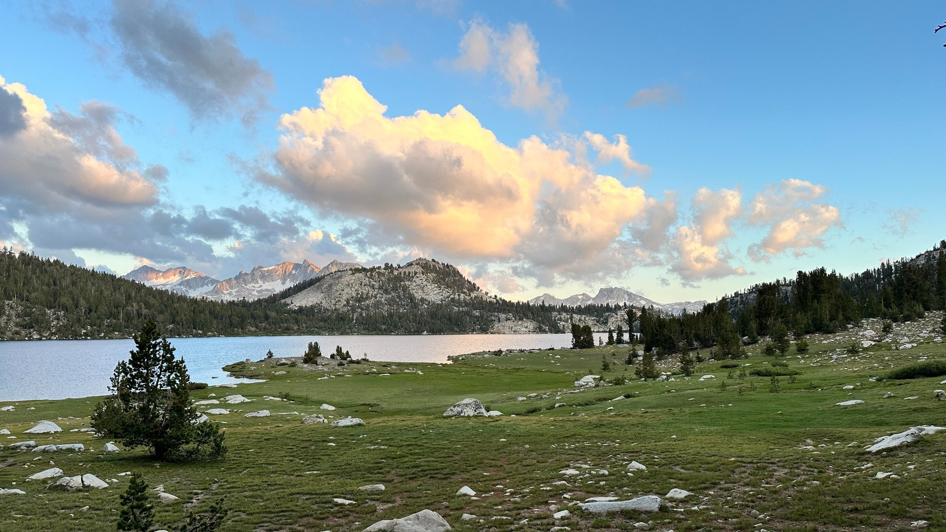 an abstract photo of a curved building with a blue sky in the background