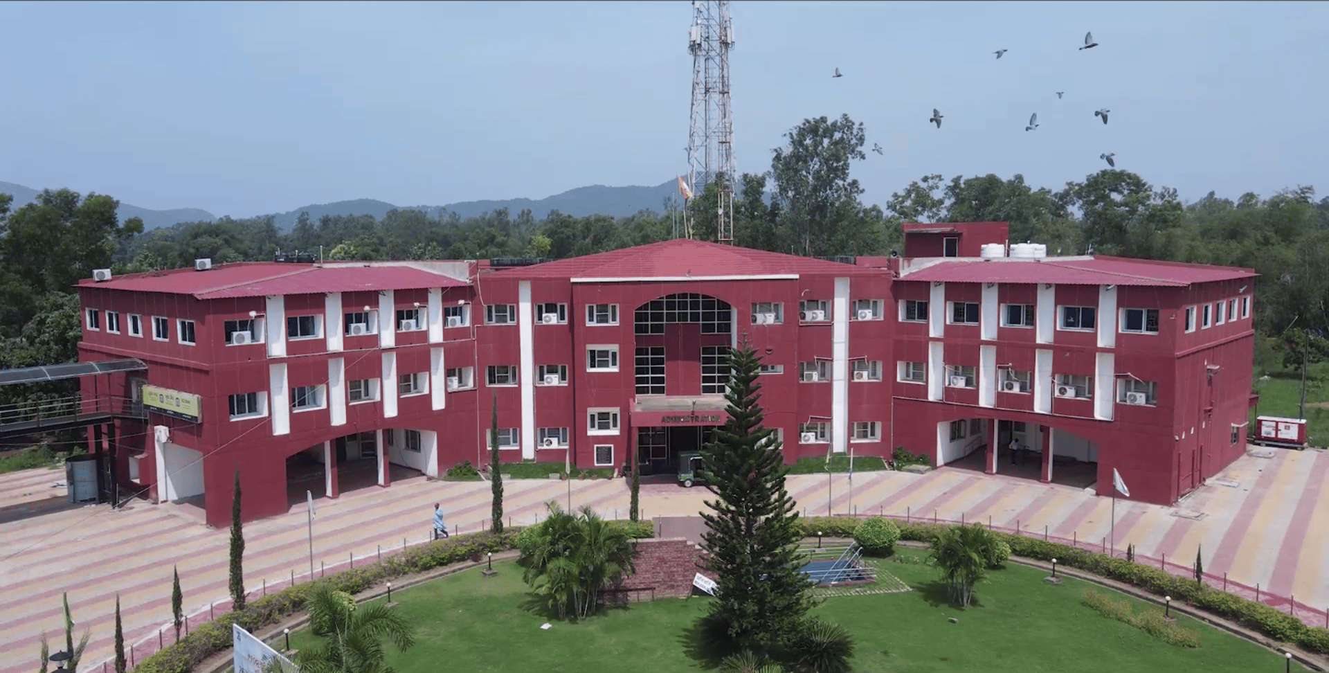 woman wearing yellow long-sleeved dress under white clouds and blue sky during daytime