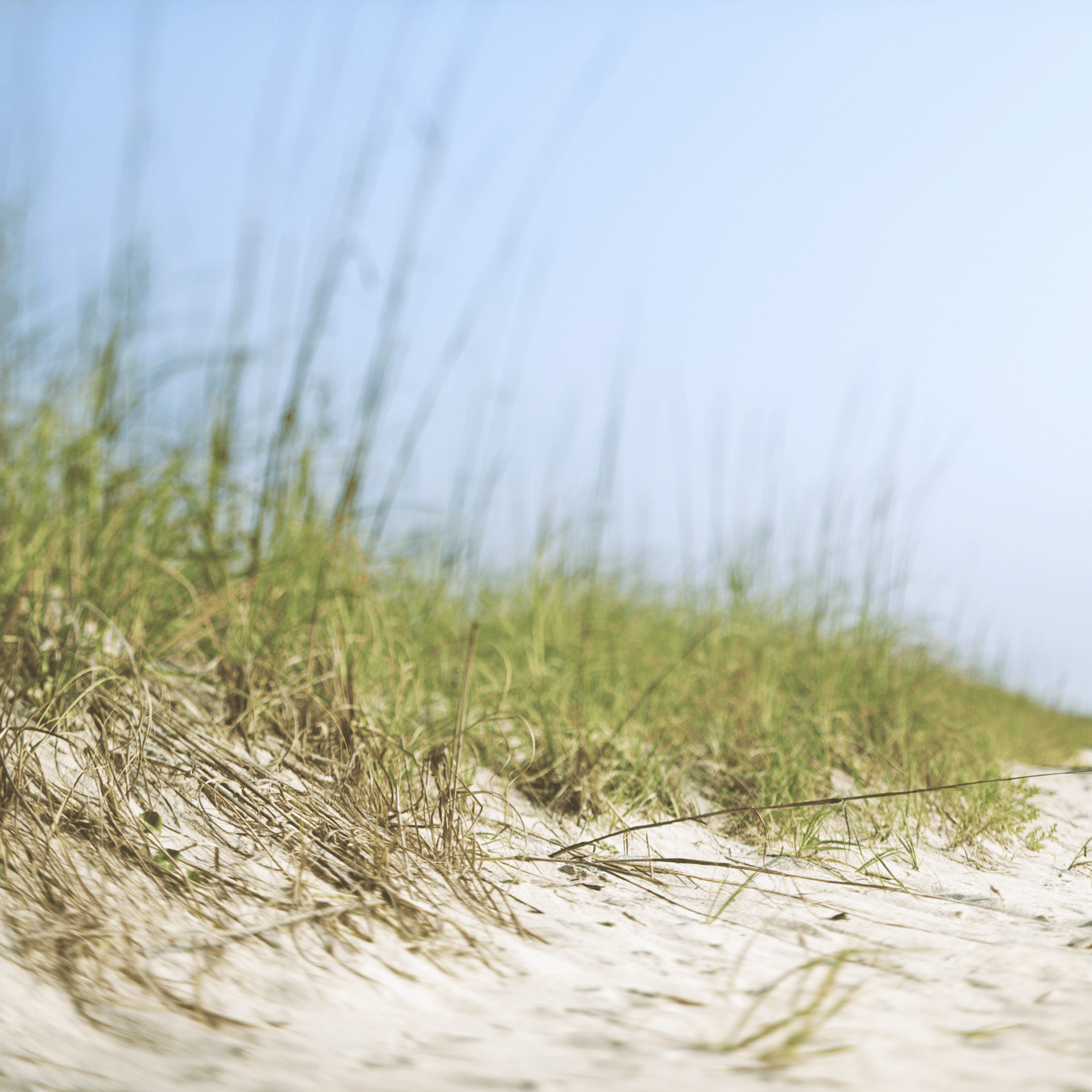 gray computer monitor