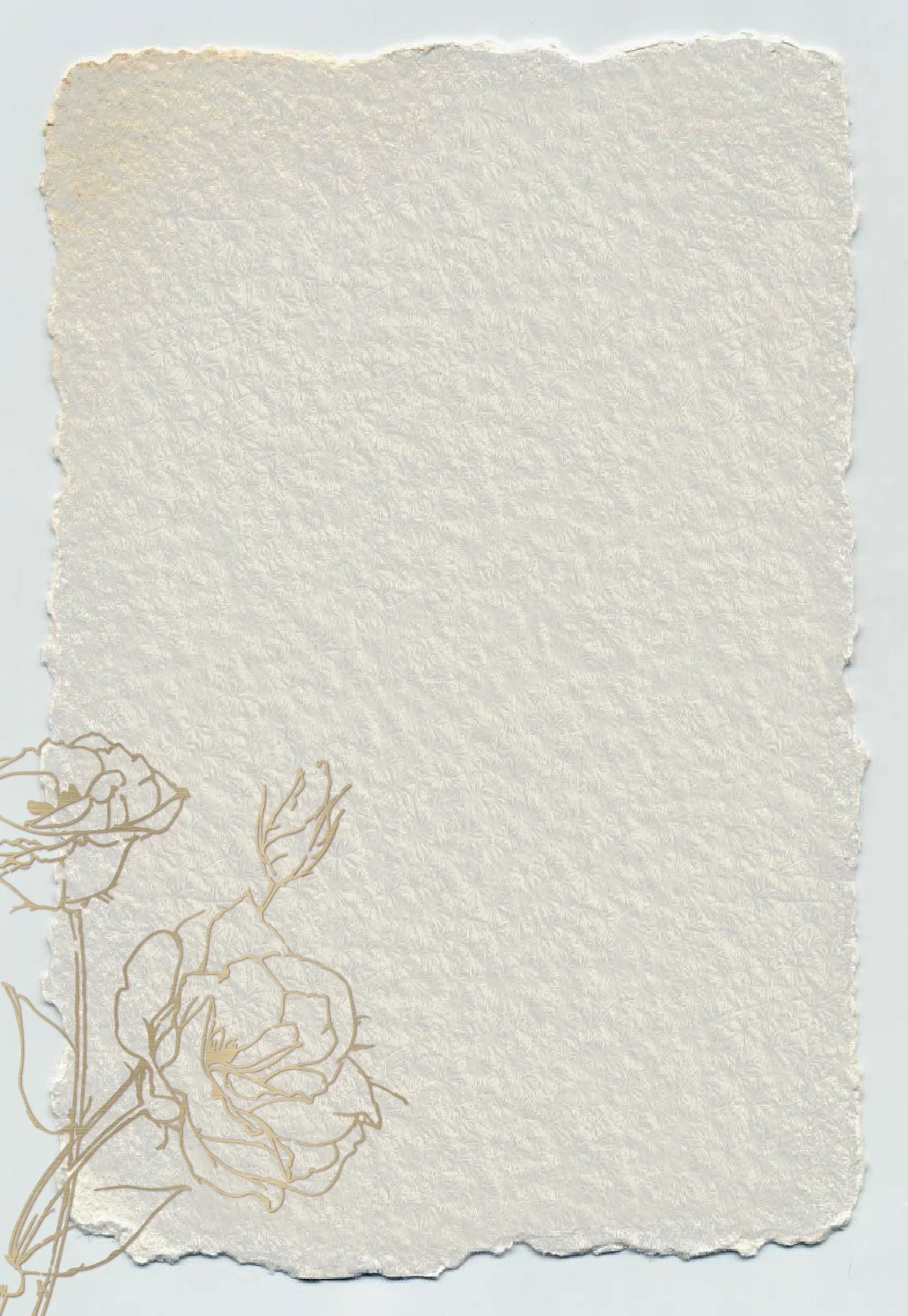 white wall paint with black line