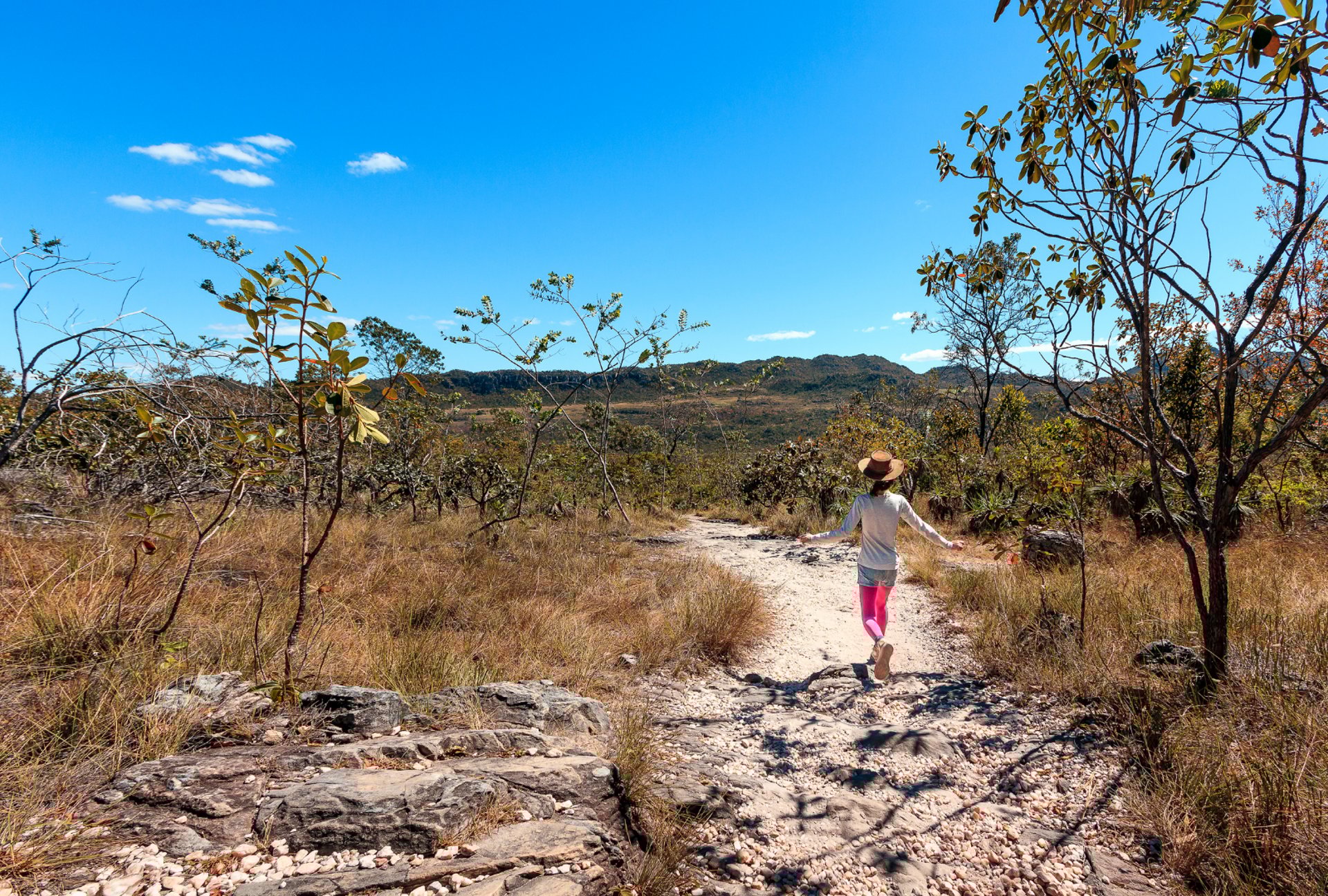 an abstract photo of a curved building with a blue sky in the background