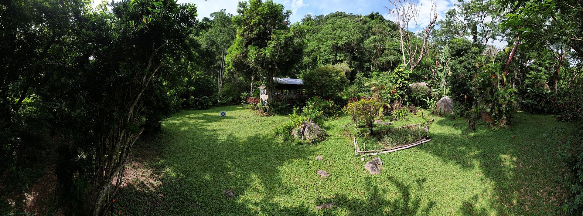 people near water fountain