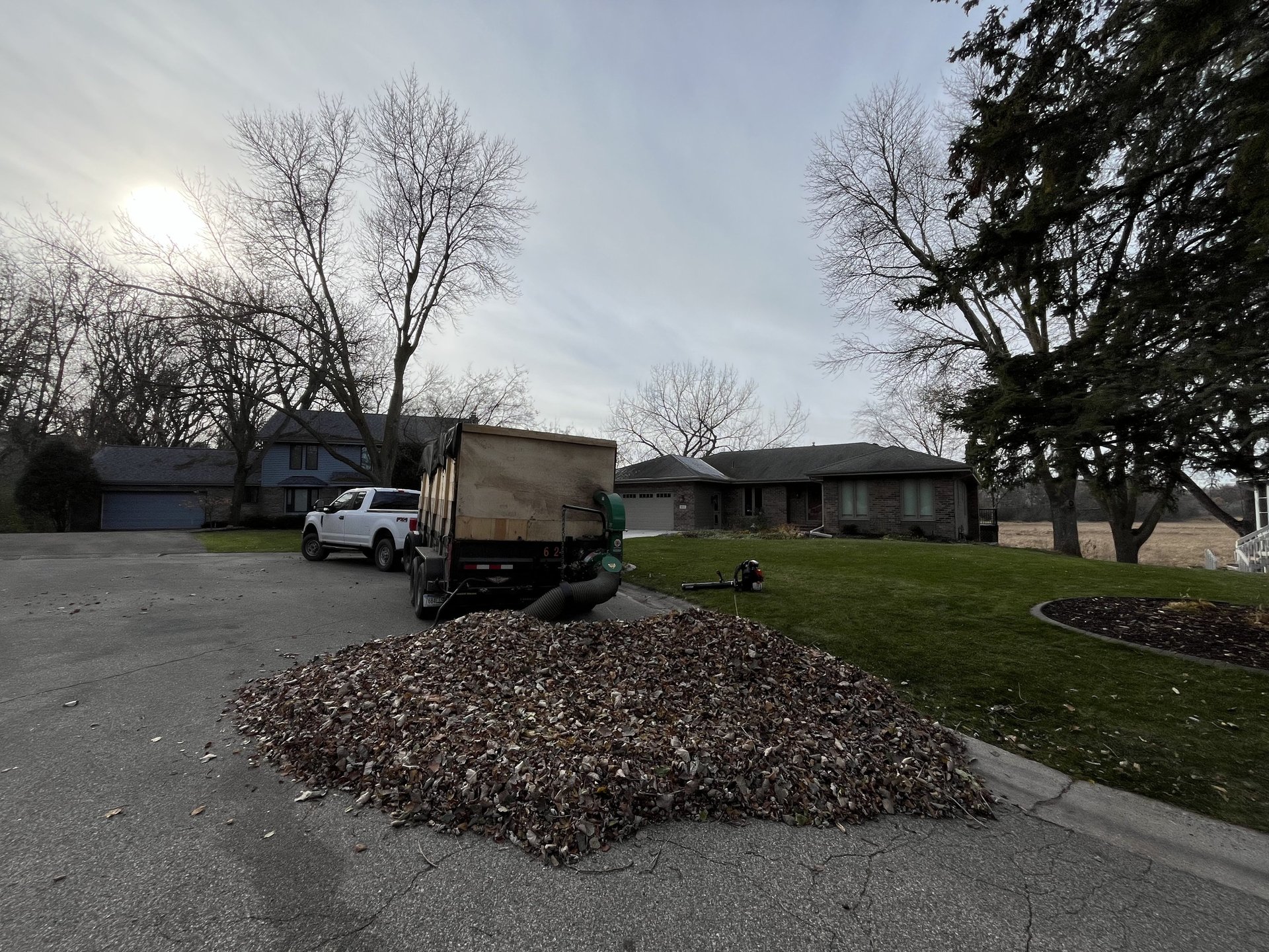 leaf-cleanup-services.jpg