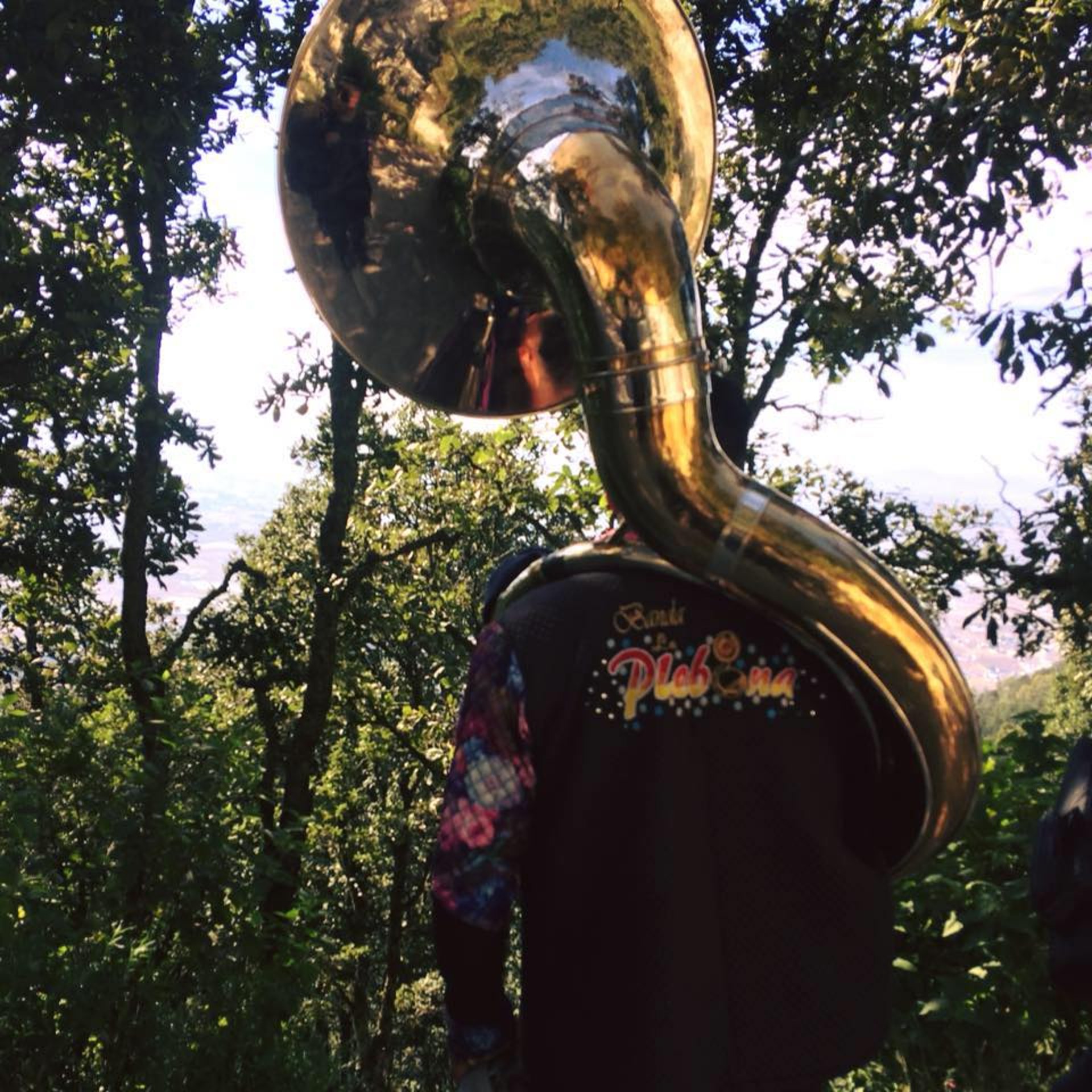 gray computer monitor