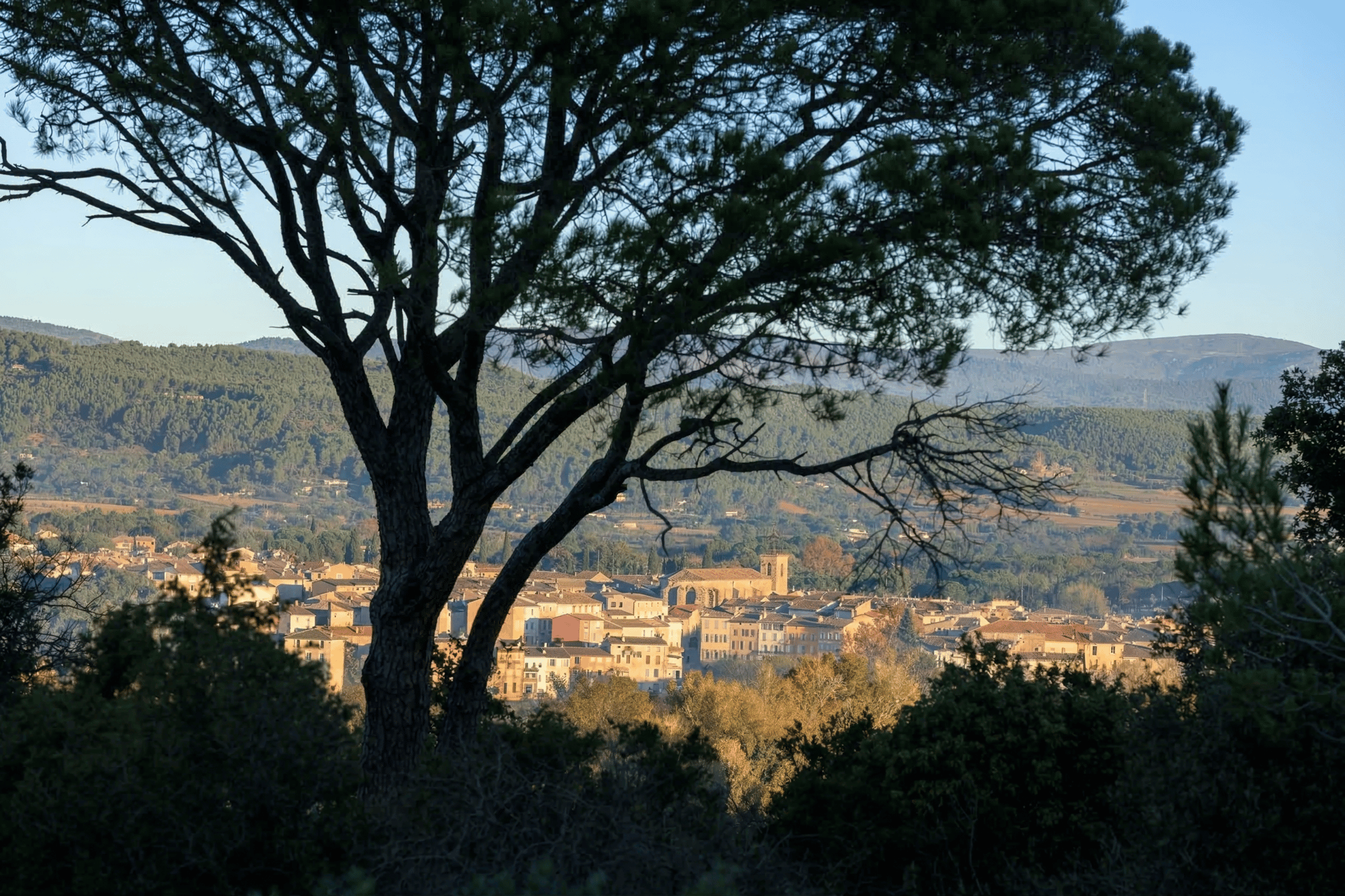 black and brown leather padded tub sofa