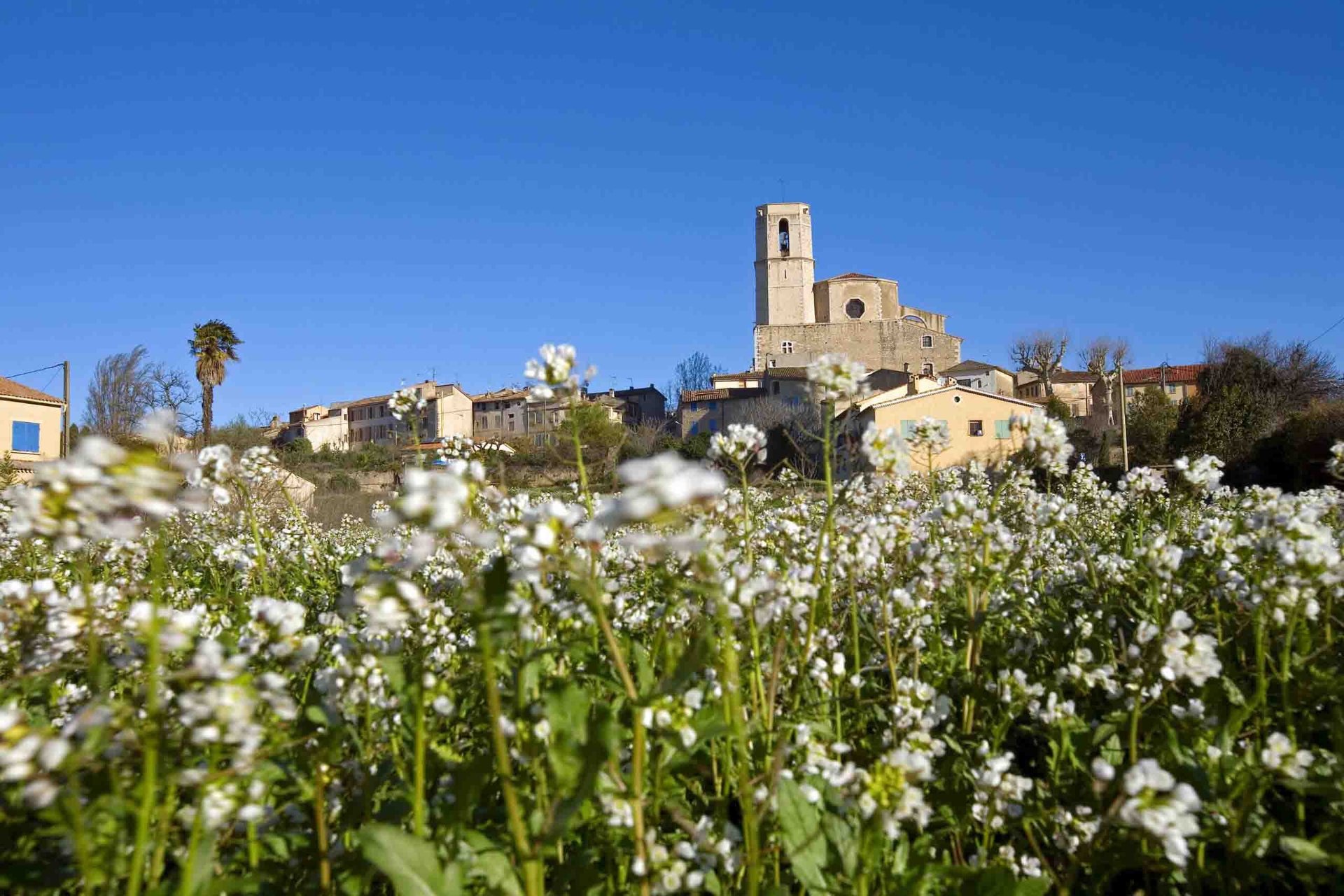 black and brown leather padded tub sofa