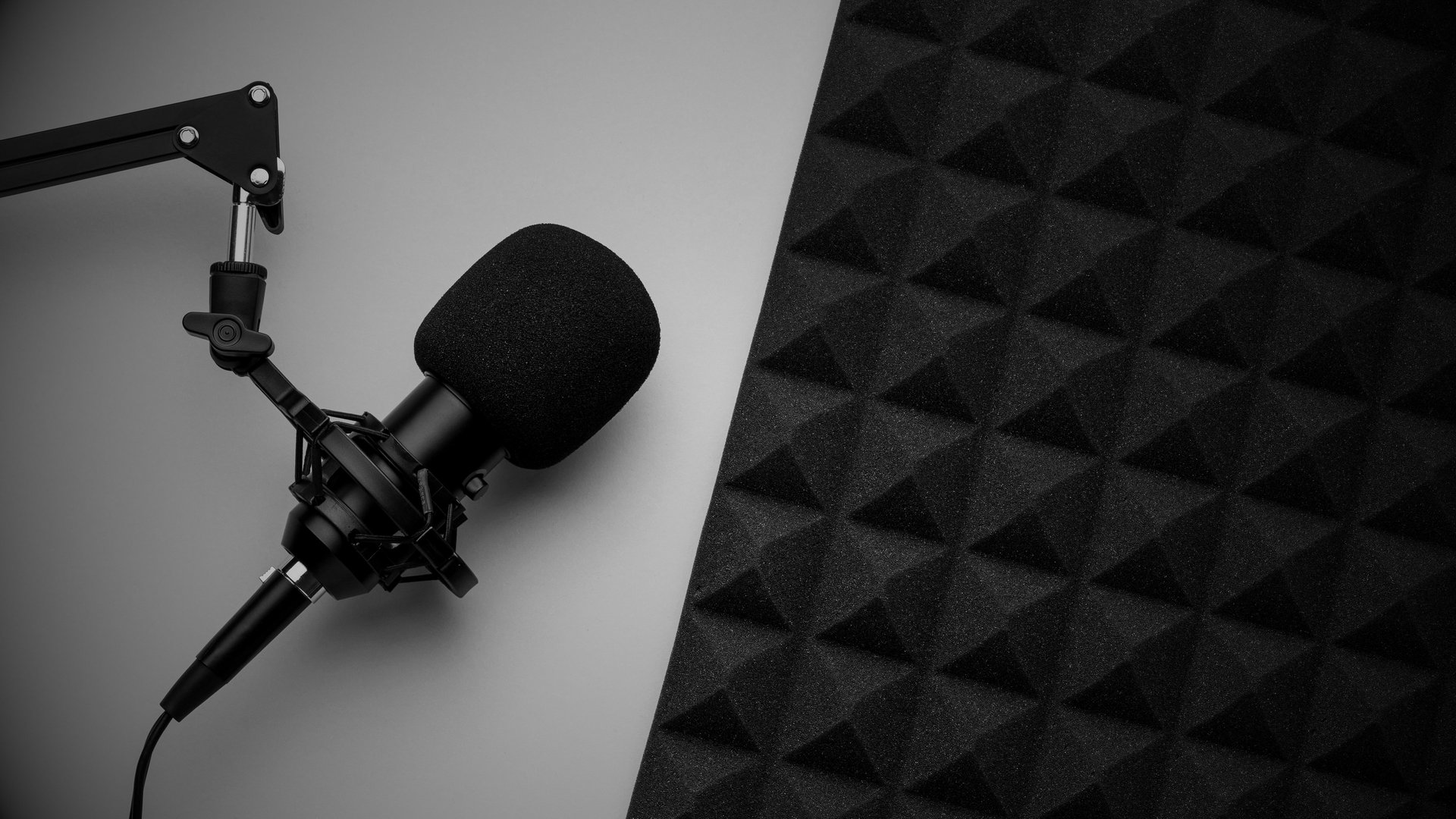 black condenser microphone