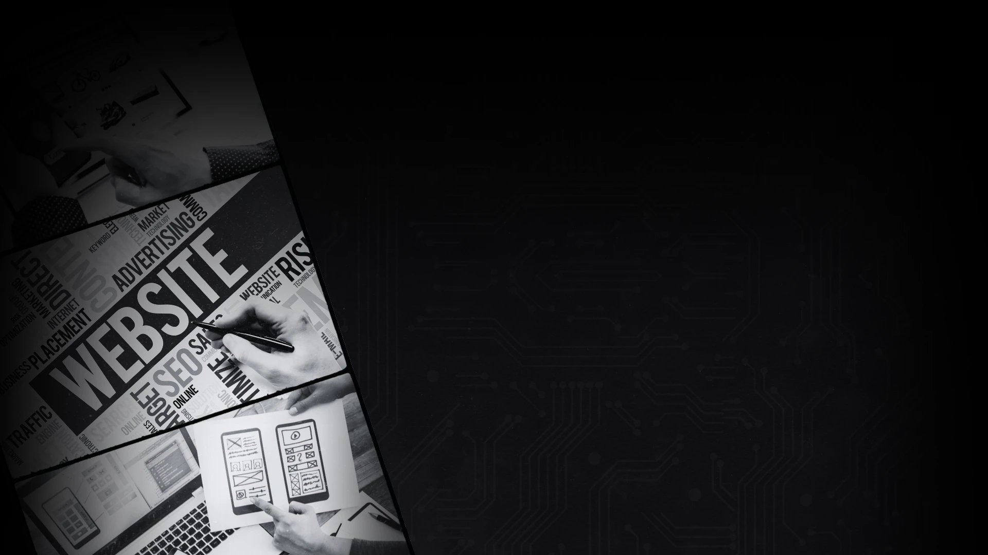 TMN team building responsive websites, optimizing user experience and performance for businesses worldwide.