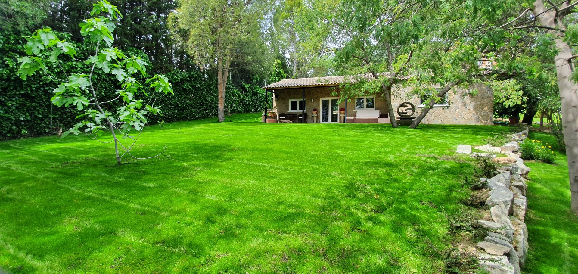 green and black lawnmower on green grass
