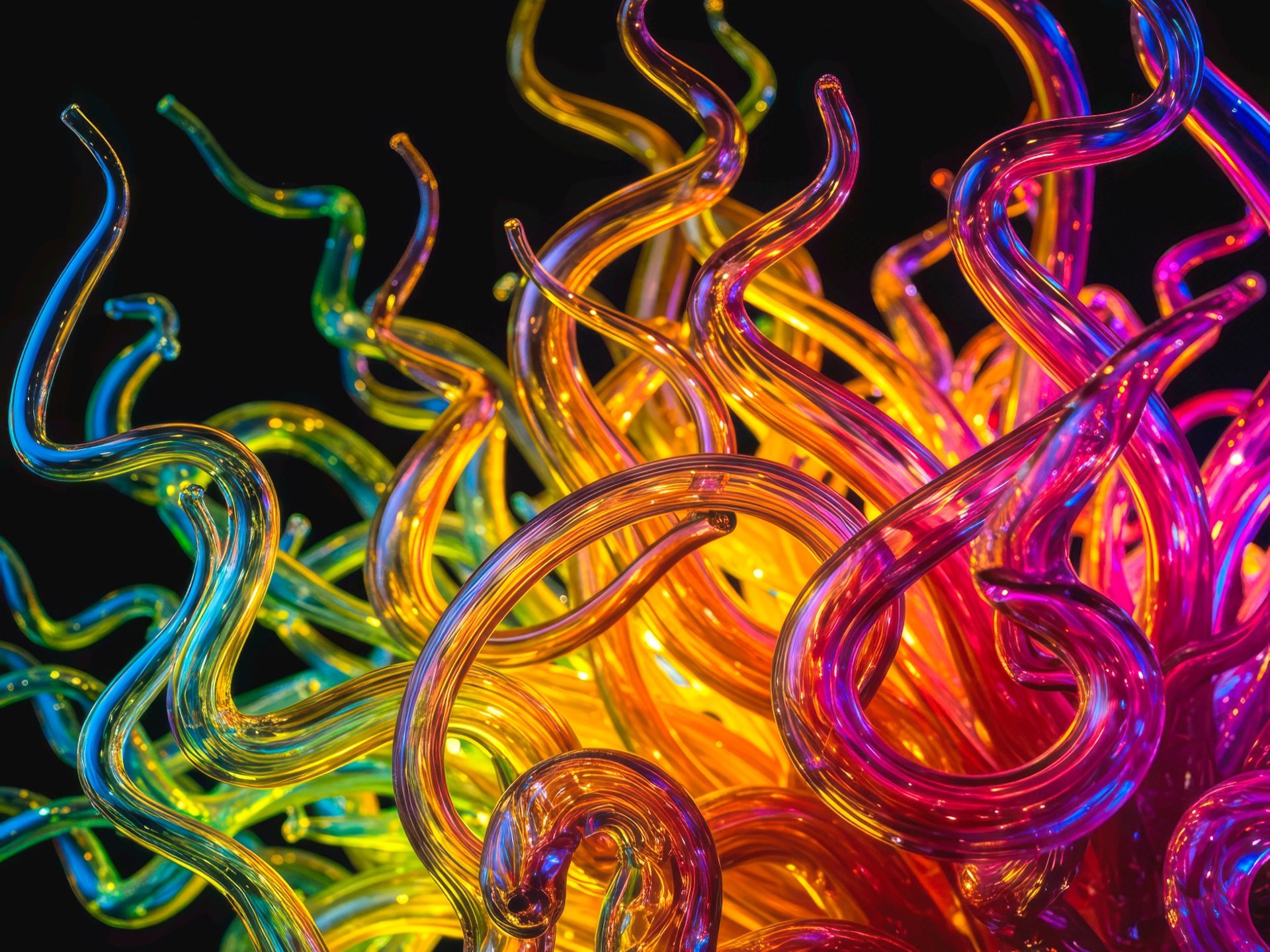 Glassotica curled, multi-colored, glass tubes