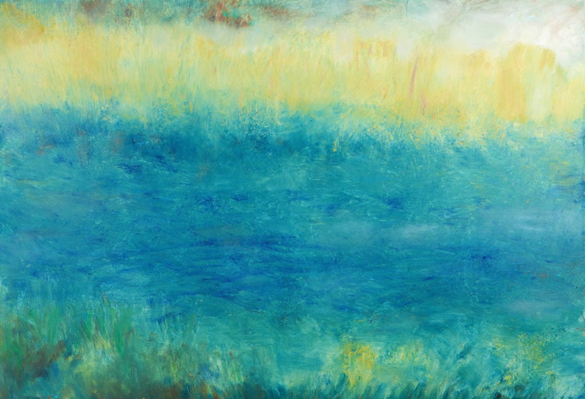 cat tail plant field