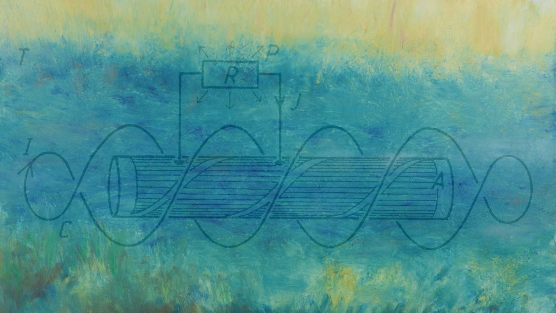 cat tail plant field