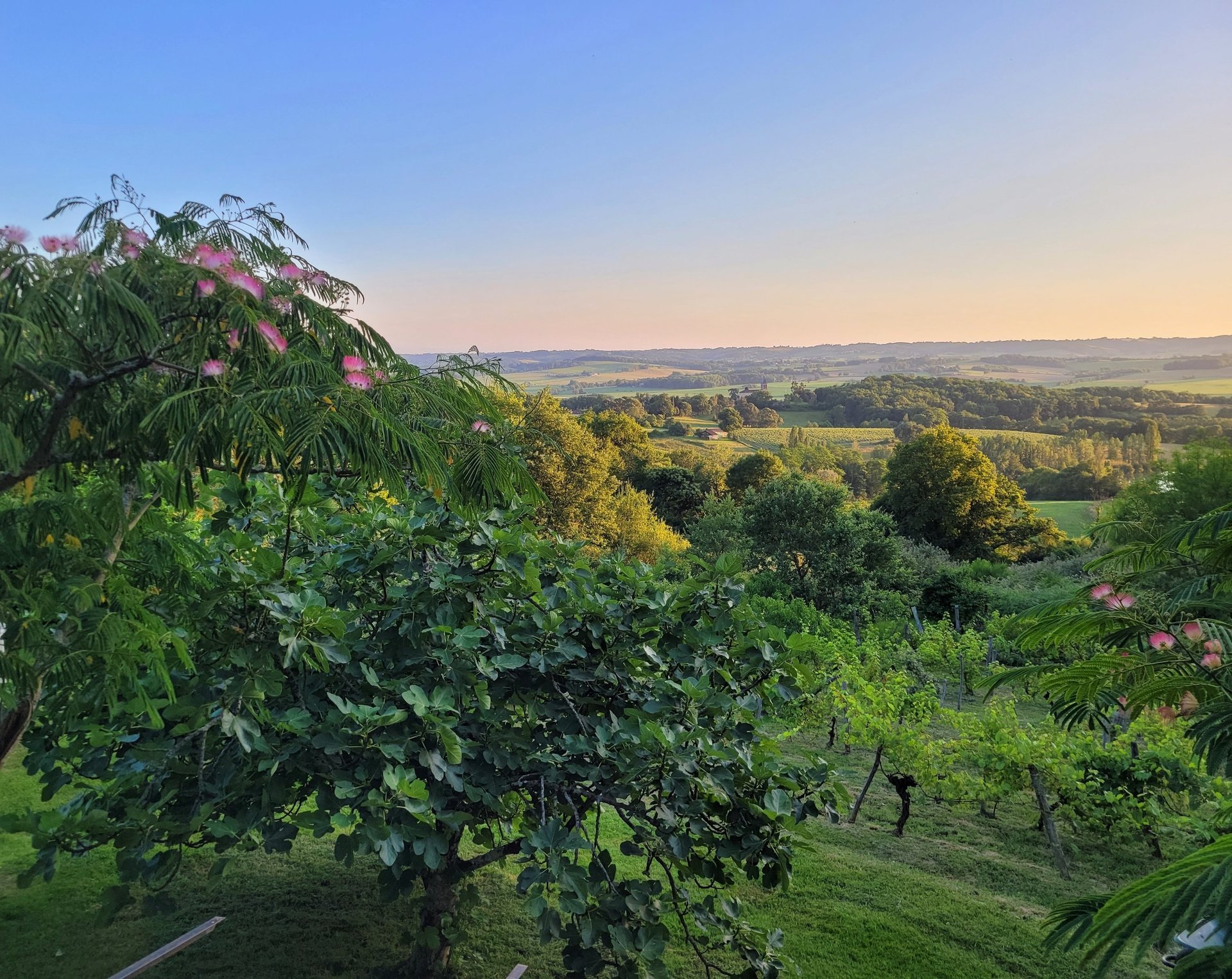 person wearing grey knit sweater