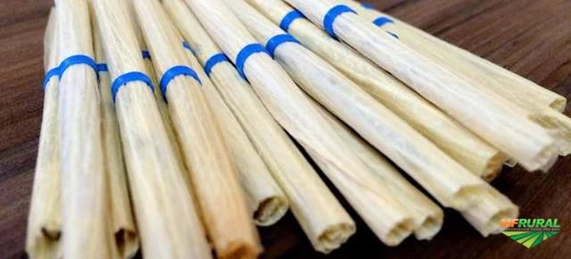 woman wearing yellow long-sleeved dress under white clouds and blue sky during daytime