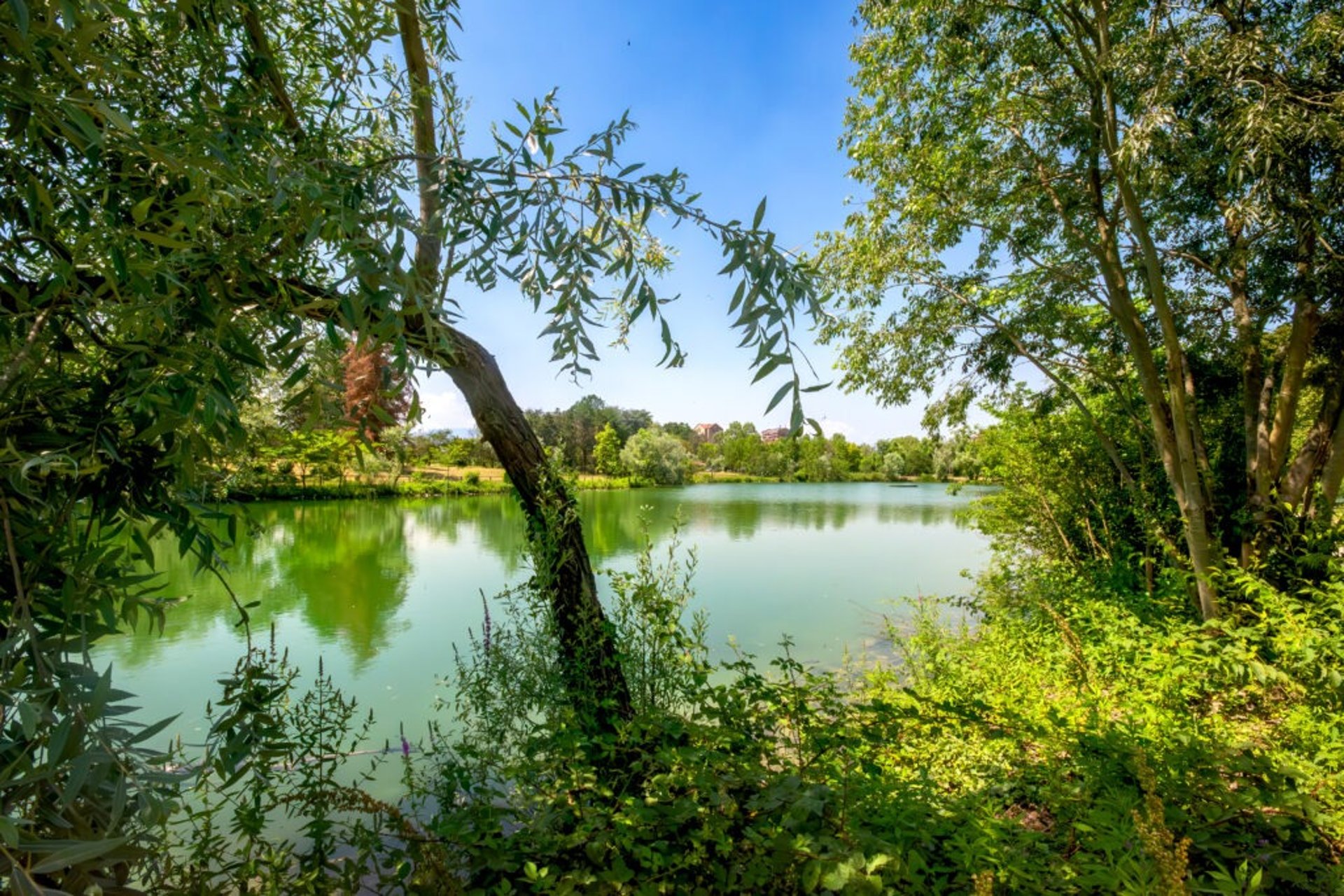 black blue and yellow textile