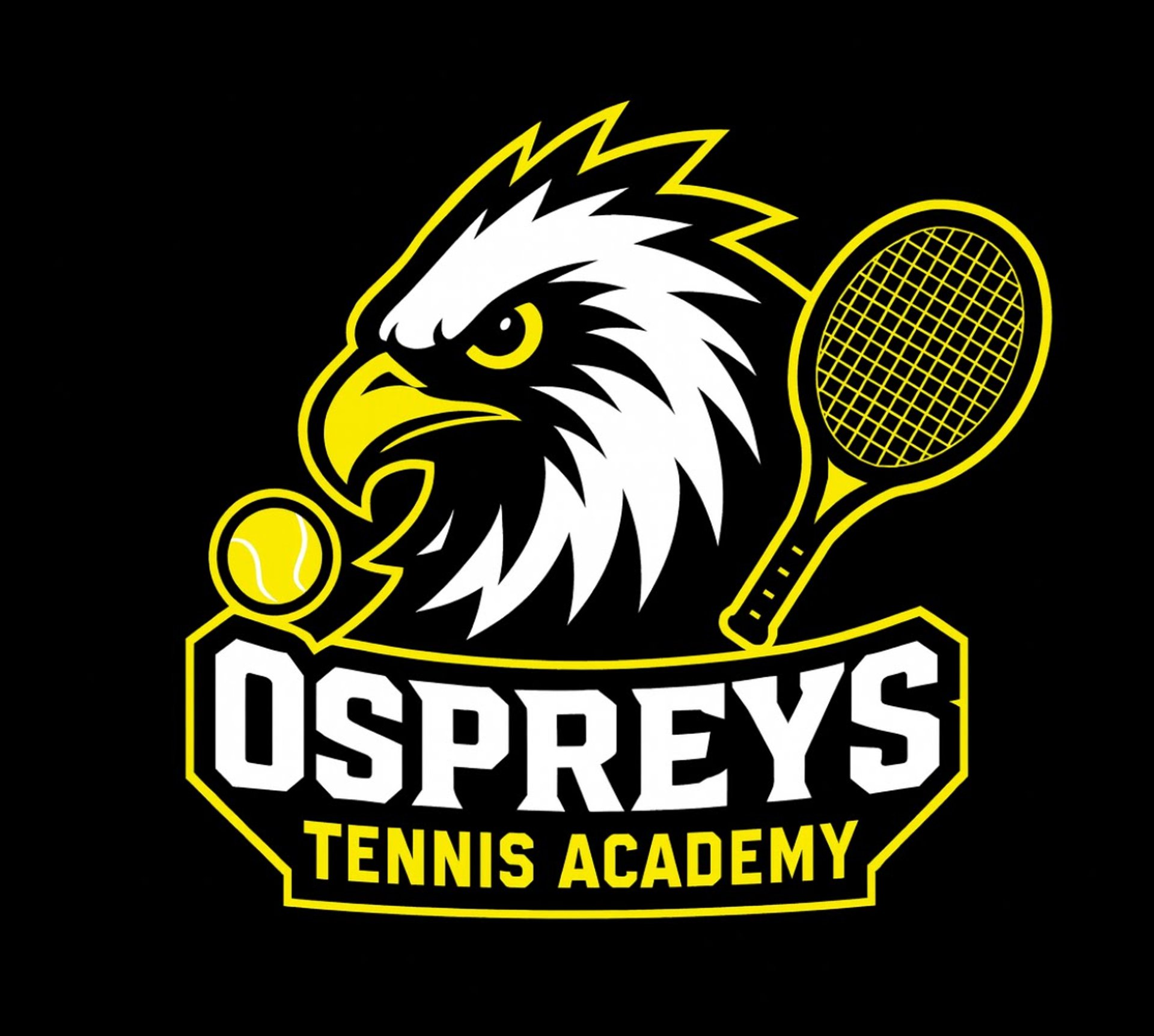 aerial photography of two person playing tennis