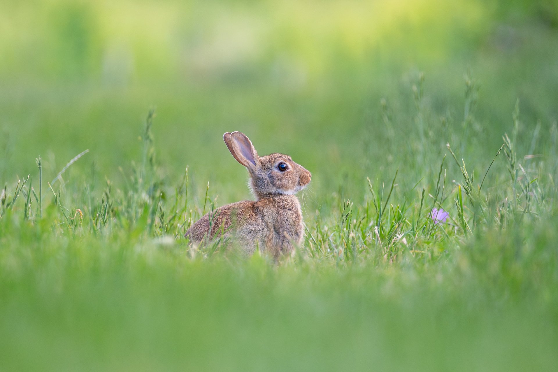 mountain range under blue sky